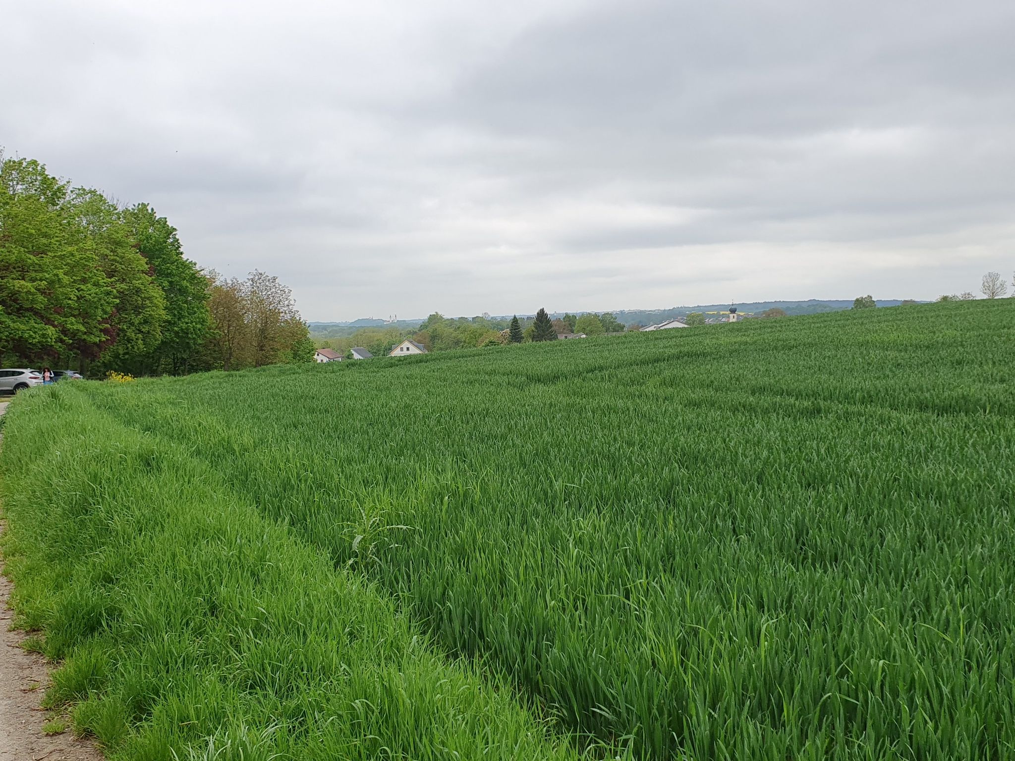Blick auf Freising