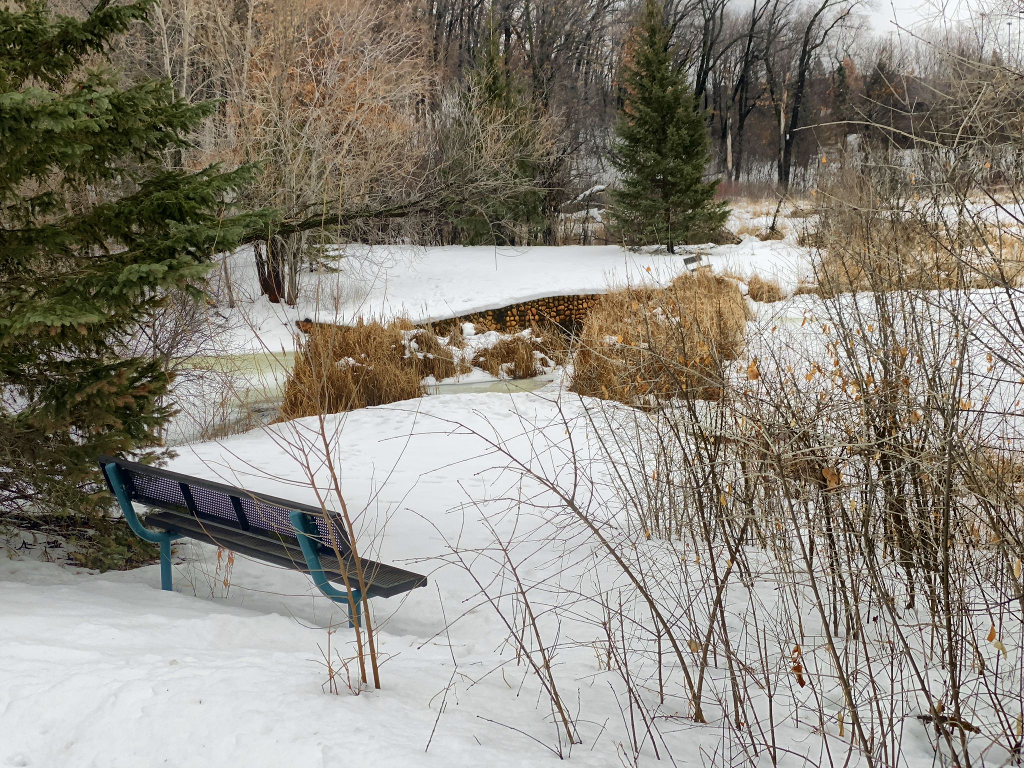 A dark park bench in a snowy winter landscape with trees and frozen water. - Lake Smetana Loop
