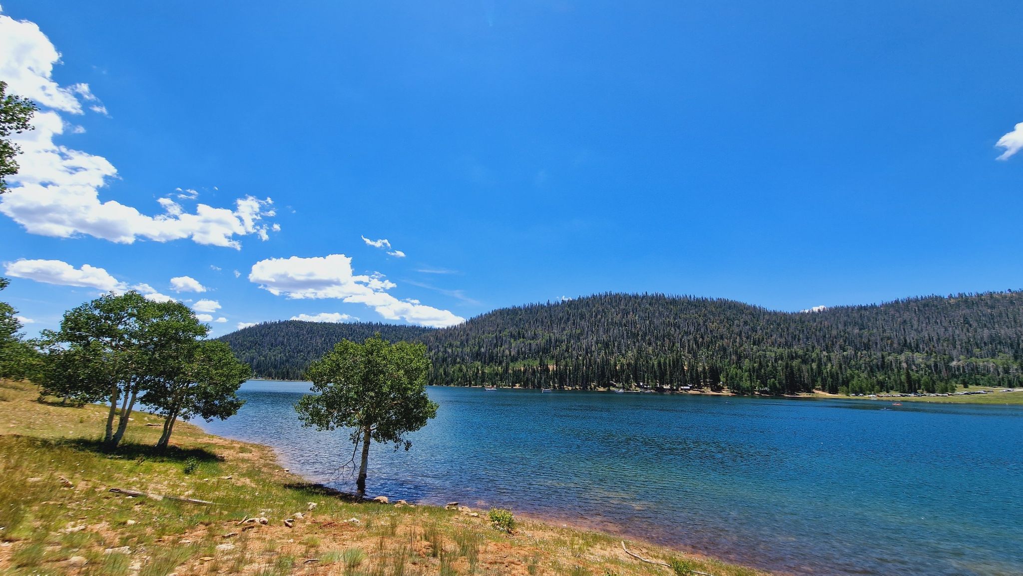 Blue lake surrounded by green forested hills under a bright, cloudy sky. - Navajo Lake Loop Trail