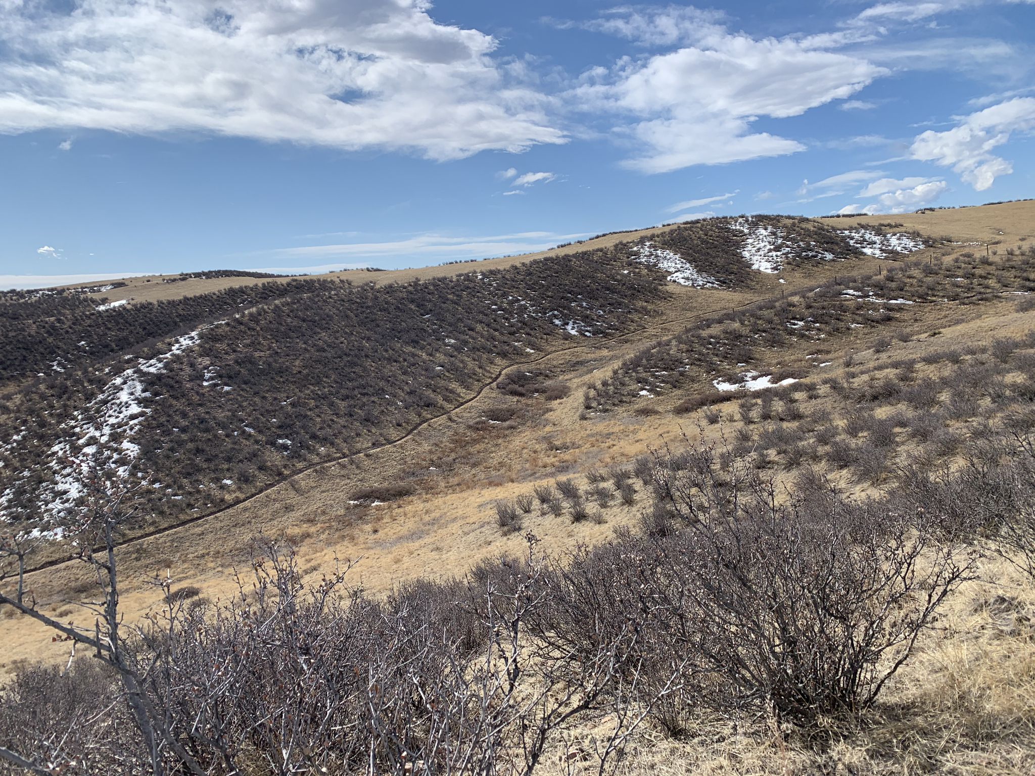 Rolling hills with dry grass, sparse bushes, and snow patches under a cloudy sky. - Mahogany Loop