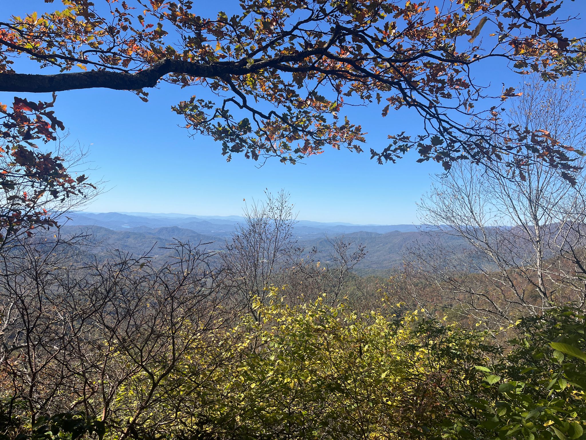 Bright mountain vista framed by tree branches under a clear blue sky. - Appalachian Trail: Charlies Creek to Mooney Gap