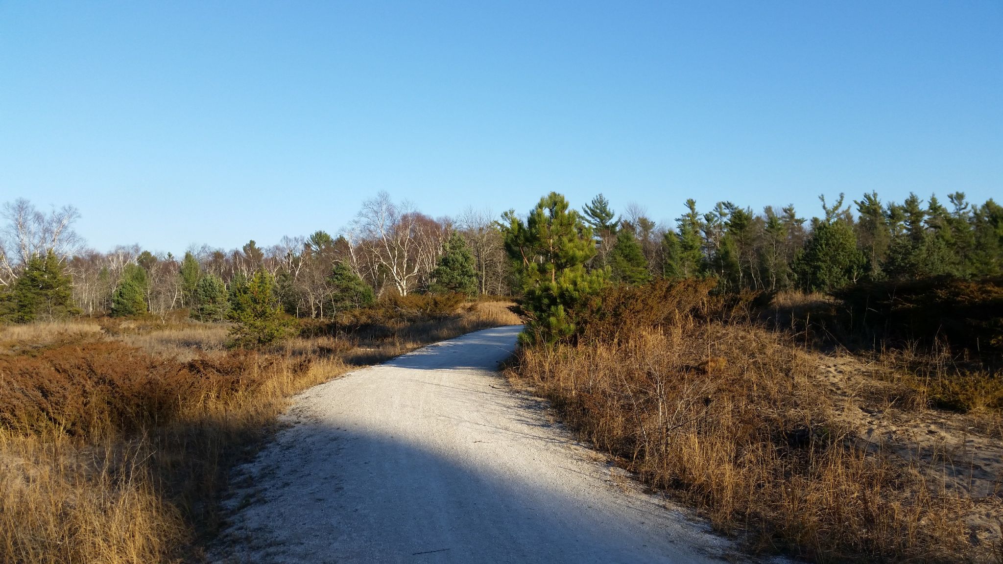 A wide dirt path through dry grass and scattered trees under a clear sky. - Ice Age Trail: Point Beach Segment