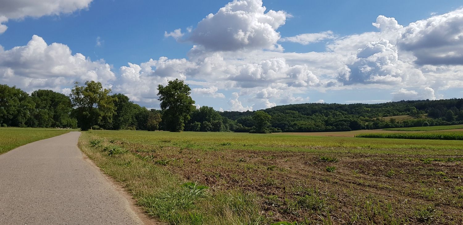 Enztalradweg