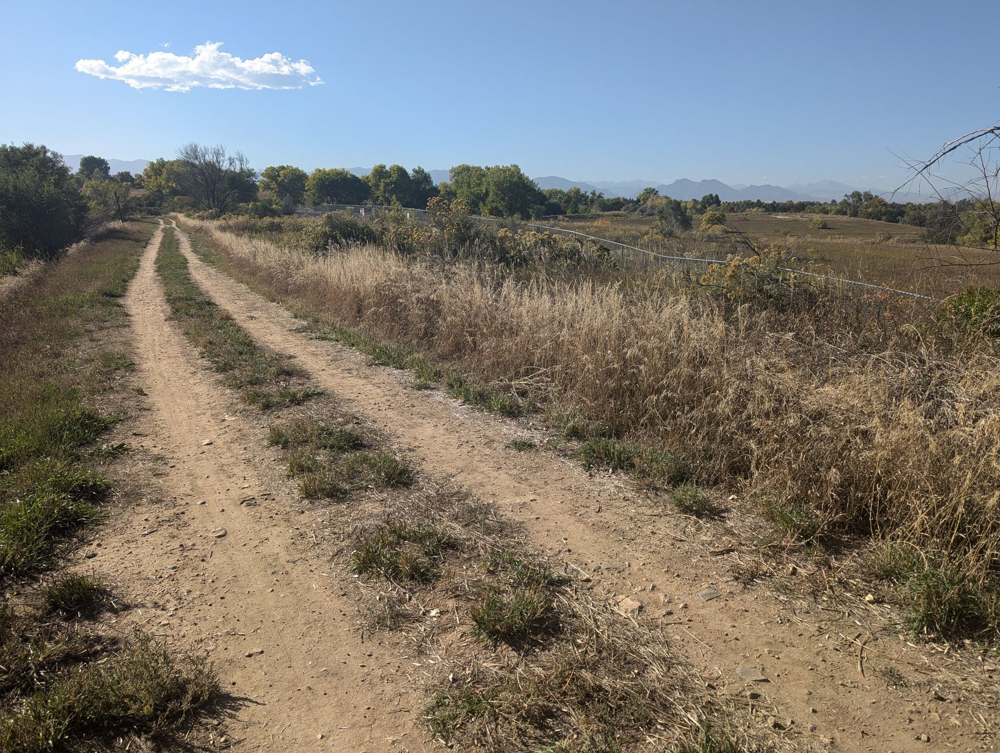A dirt road winds through a sunny, dry grassy field under a blue sky. - Little Dry Creek Trail – Westminster Station Pond loop from 60th & Sheridan - Arvada Gold Strike
