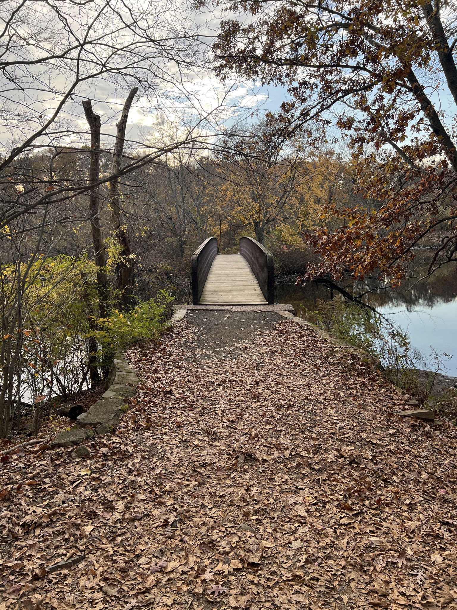 Leaf-covered path leading to a wooden bridge over water, autumn trees, bright sky. - Mill River and Orange Trail Loop