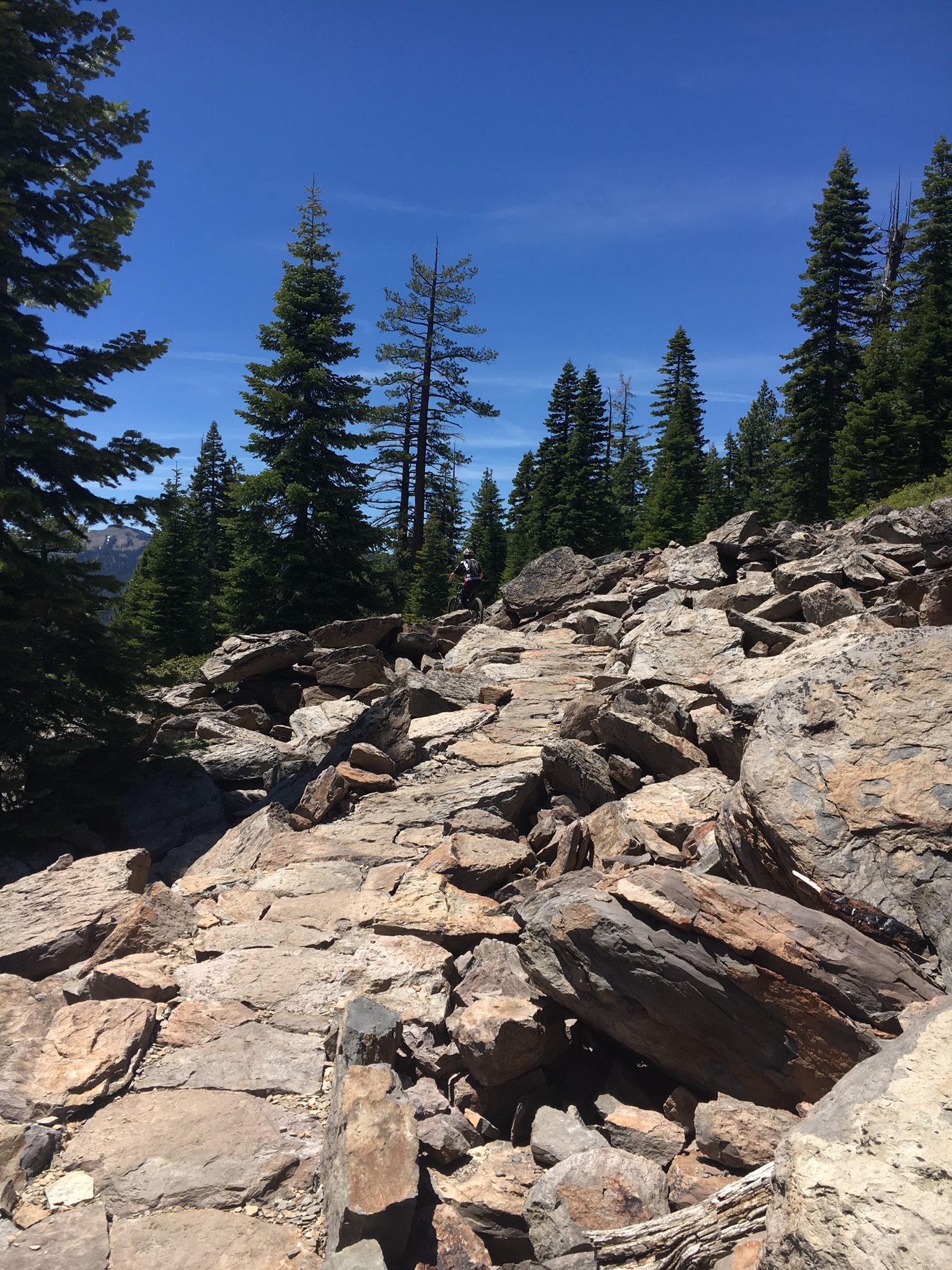 A rocky mountain trail winds through pine trees under a clear blue sky. - Big Chief and Sawtooth Trail Loop