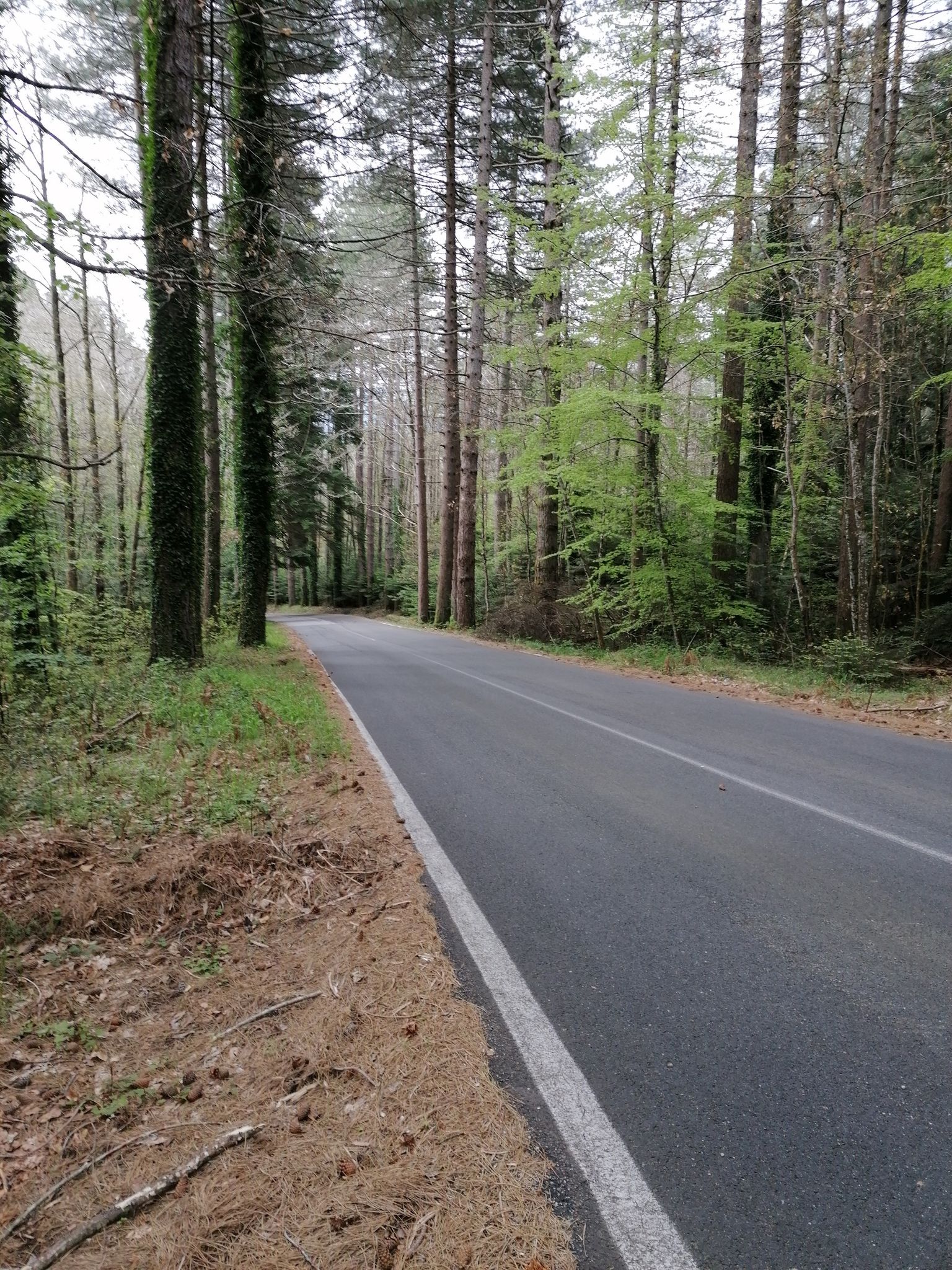 strada