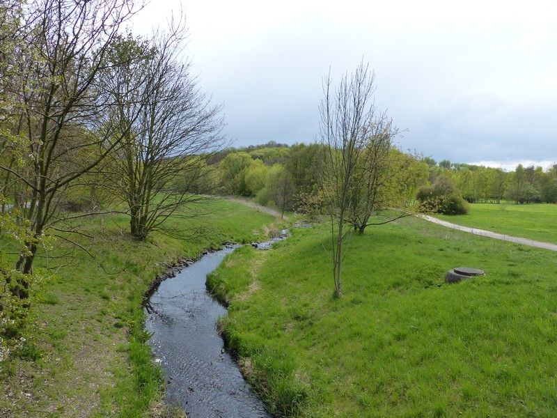 an der Wuhle