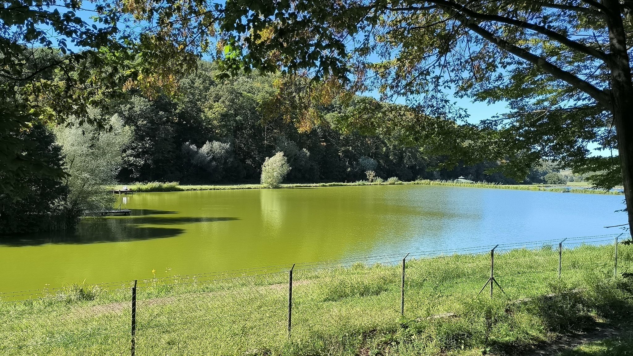 Fisch-Teiche ...