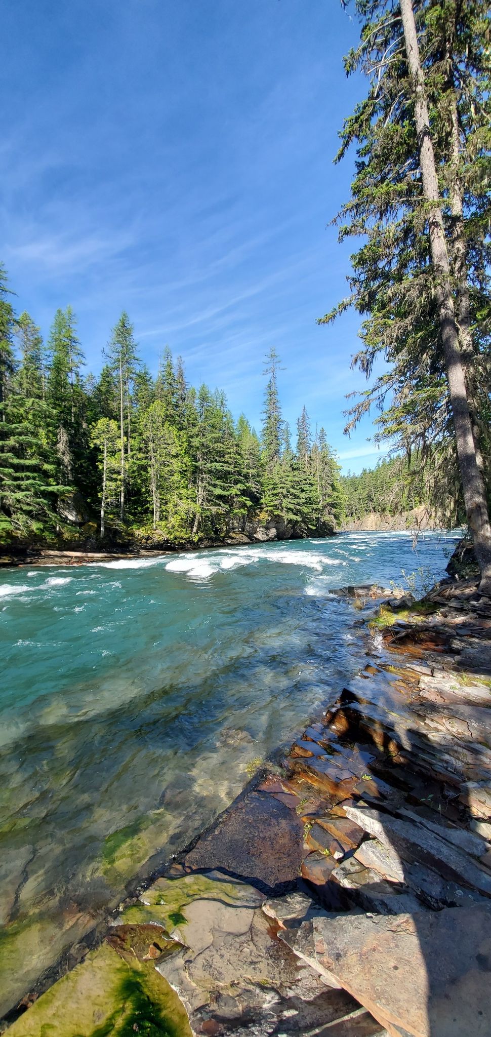 Turquoise river flowing past a rocky bank and dense green forest under a blue sky. - Johns Lake Loop Trail