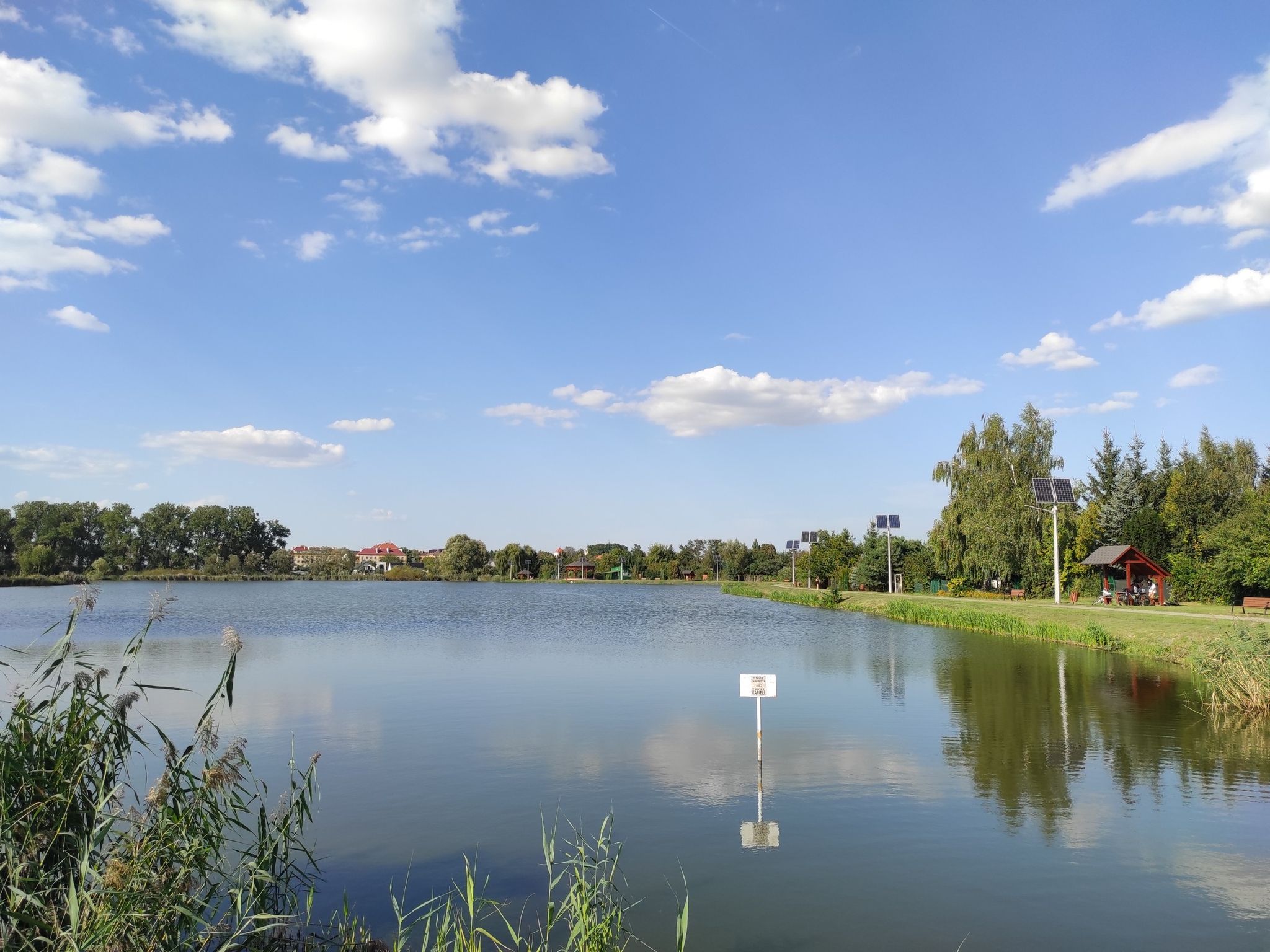 village pond