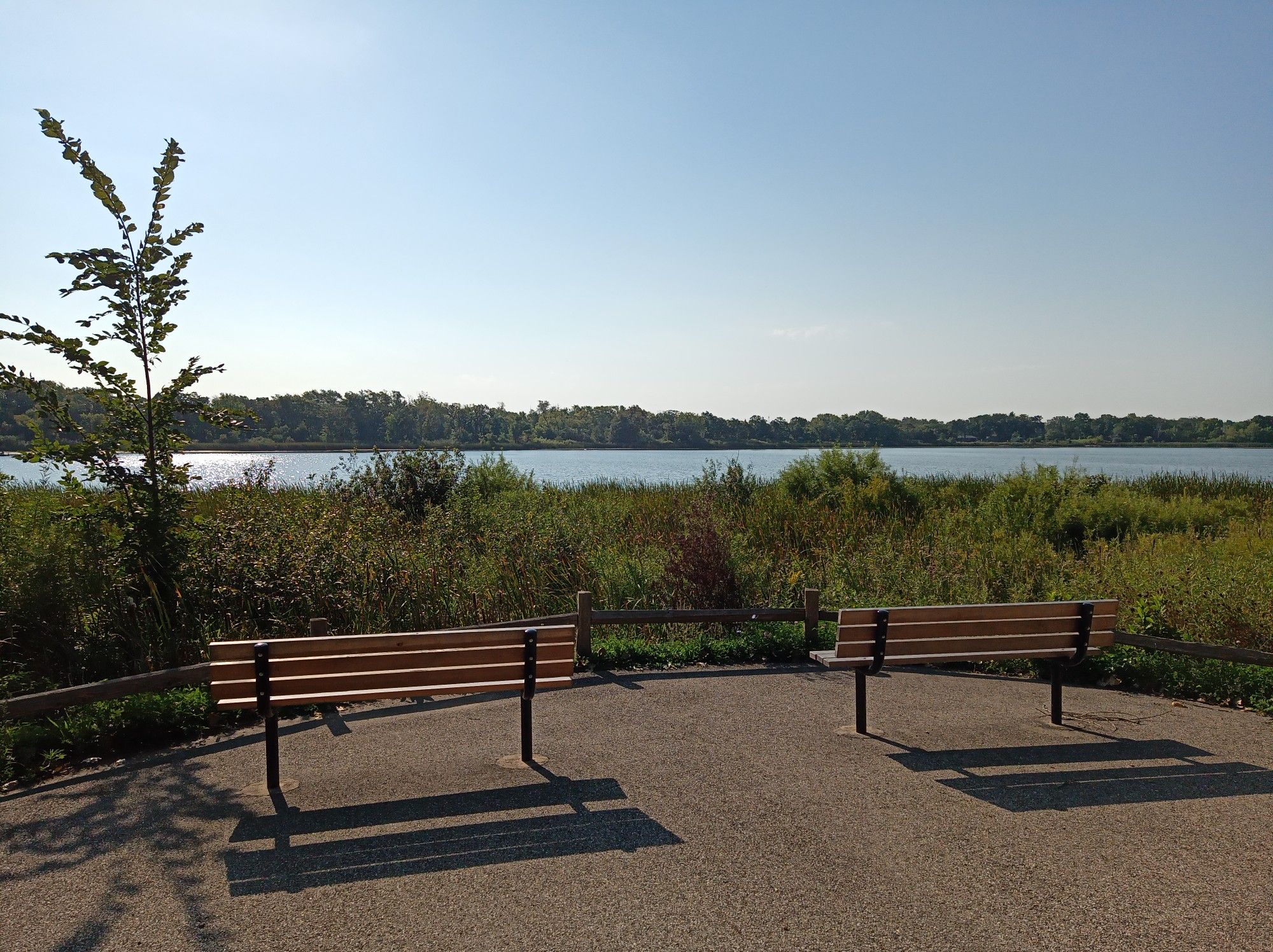 Two empty benches overlook a sunny lake with distant trees and green foliage. - Hastings Lake Loop