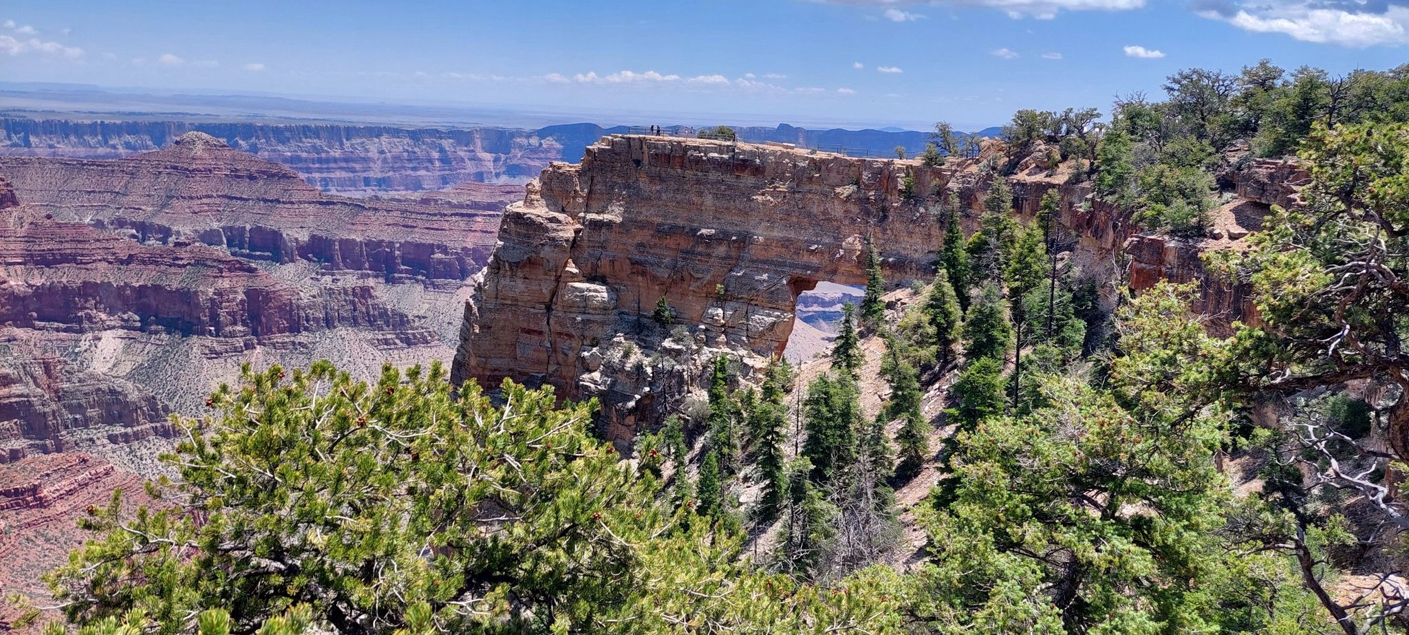 Sunny view of a large natural rock arch overlooking a vast canyon. - Cape Royal Trail