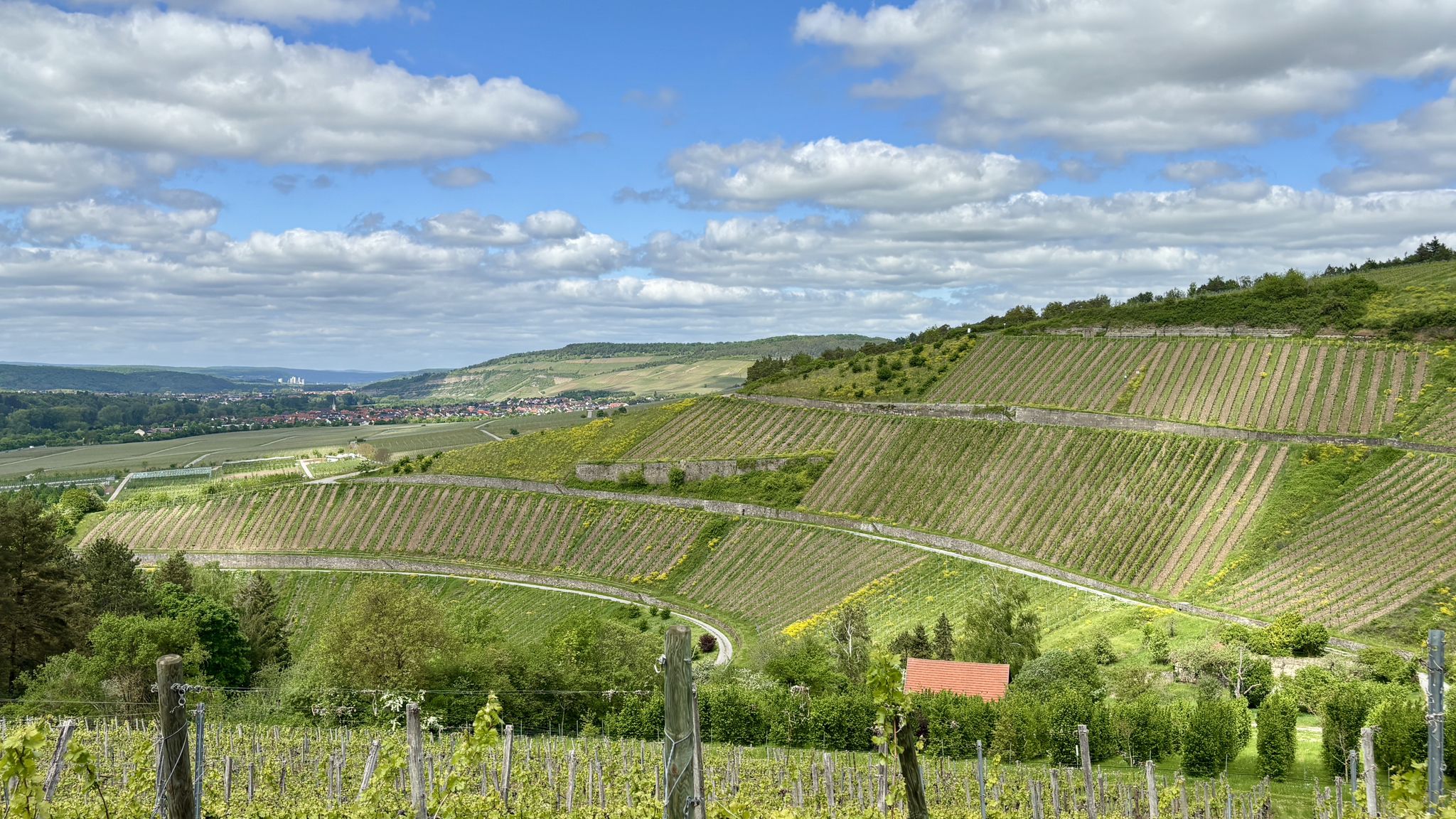 Toller Weitblick über die Weinberge bis nach Karlstadt am Main