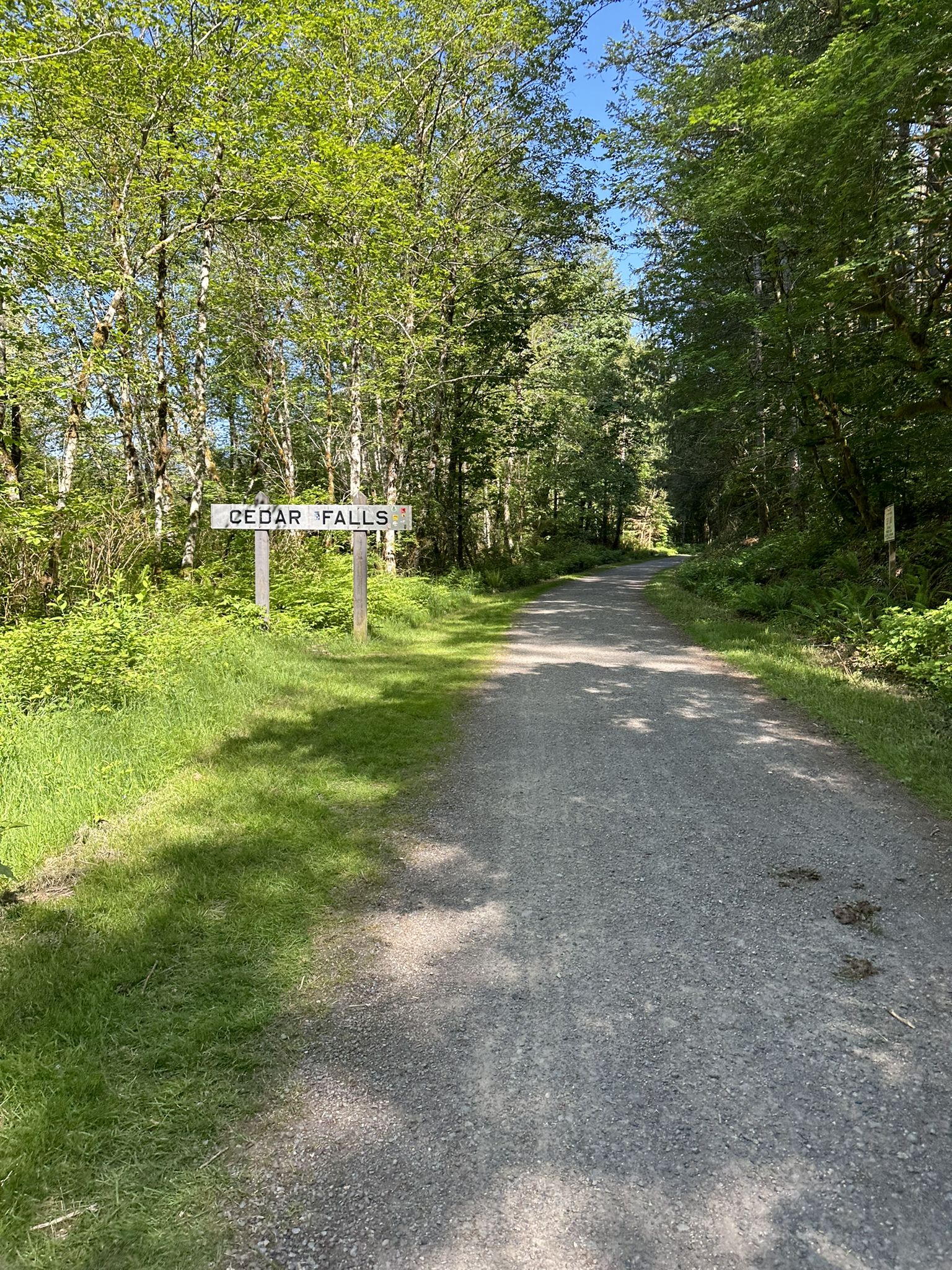 A sunny gravel path winding through a lush green forest with a wooden sign. - Olallie Trail