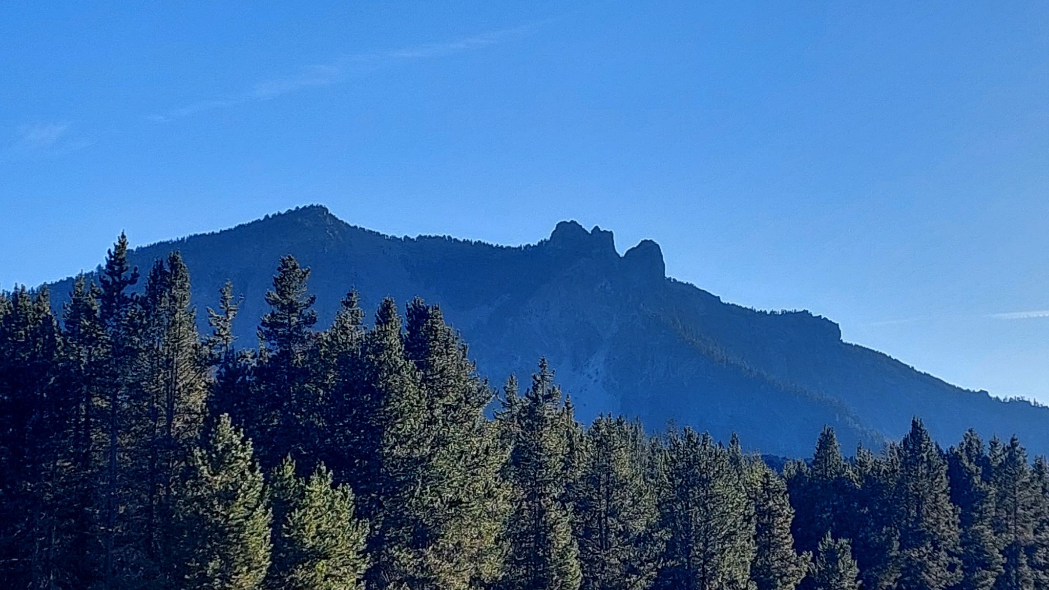 Dark mountain peak rising above a dense pine forest under a clear blue sky. - Newberry Crater Rim Trail