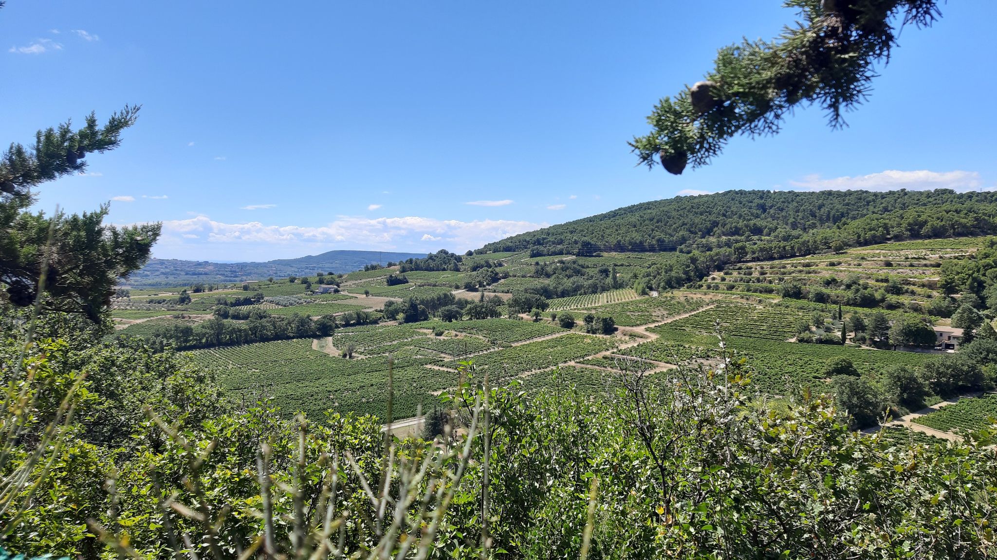 Les Collines du Nyonsais