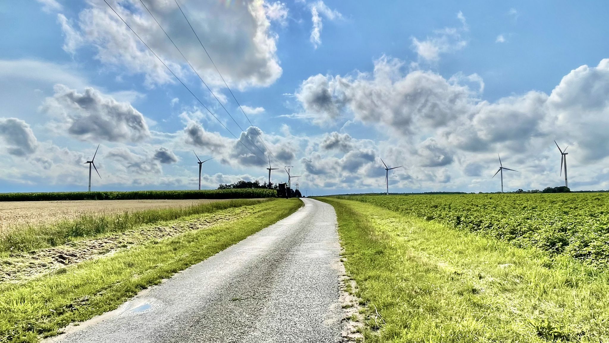 trocken, no mud:  Manchmal muss es eben Asphalt sein
