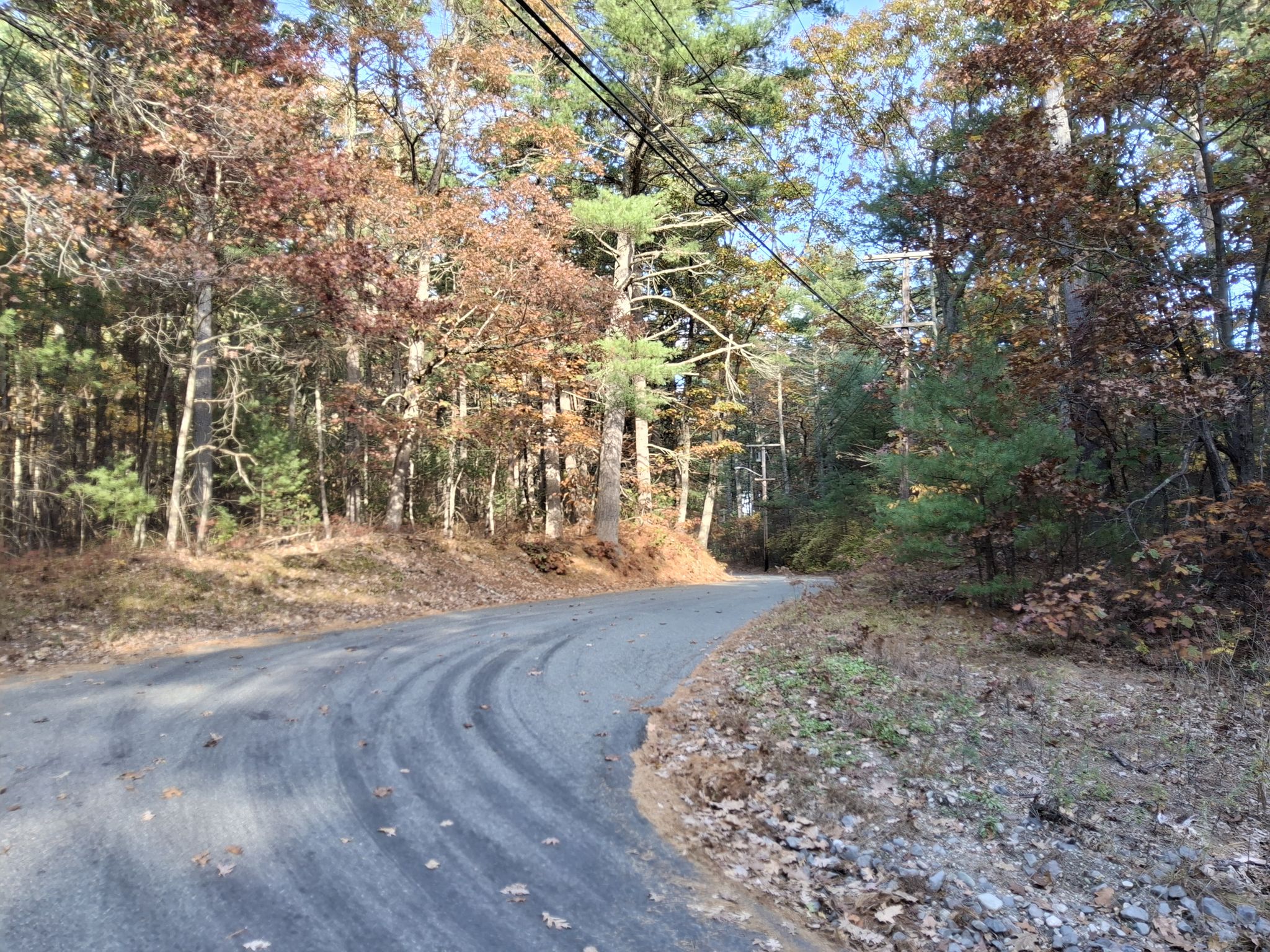 Paved road curving through a forest with autumn trees and fallen leaves. - Moose Hill Reservation – Lake Massapoag loop from Quail Ridge Conservation Area
