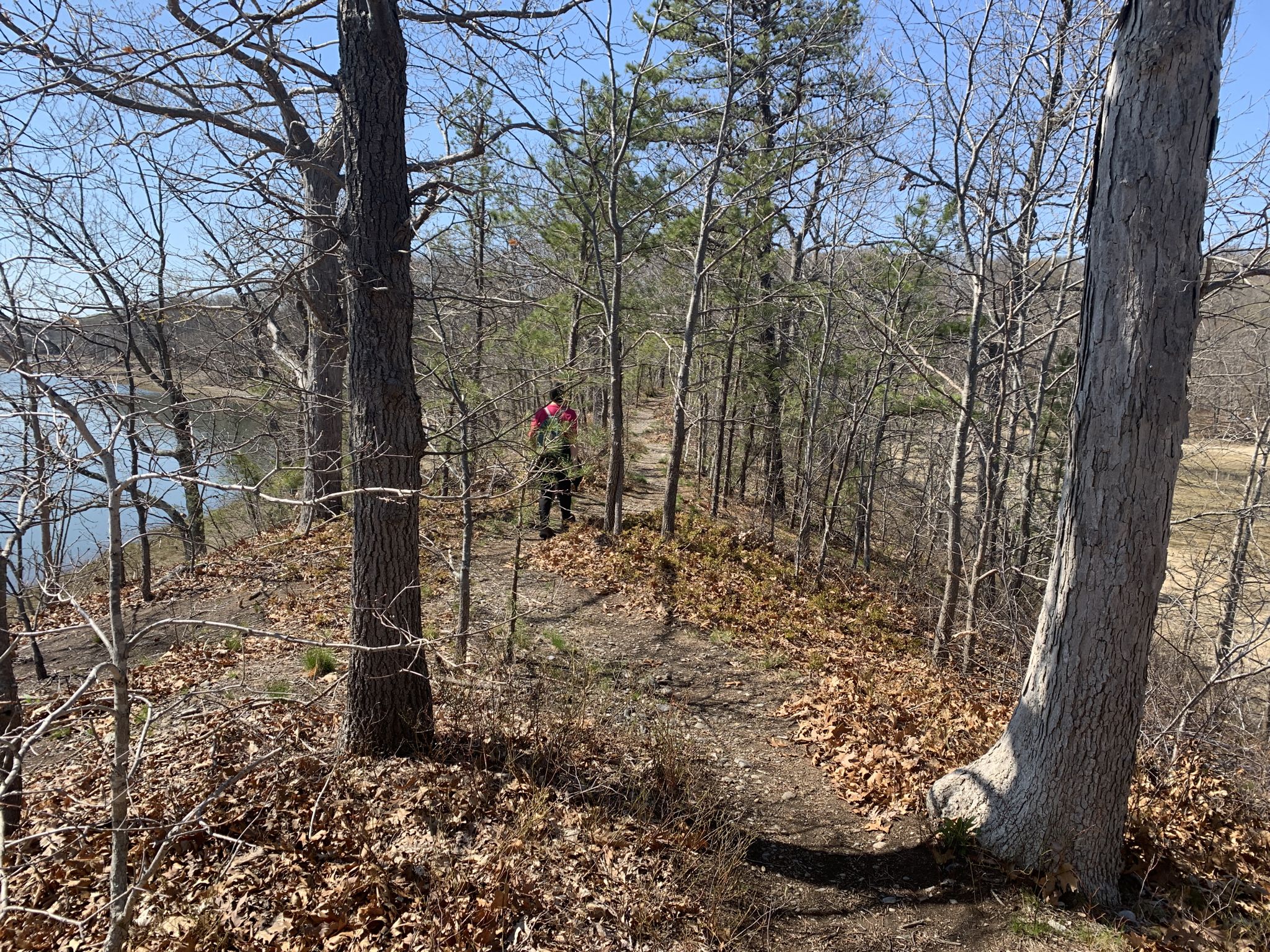 A person walks on a dirt trail through bare trees overlooking water. - Weymouth Back River Walk & Osprey Overlook Park loop