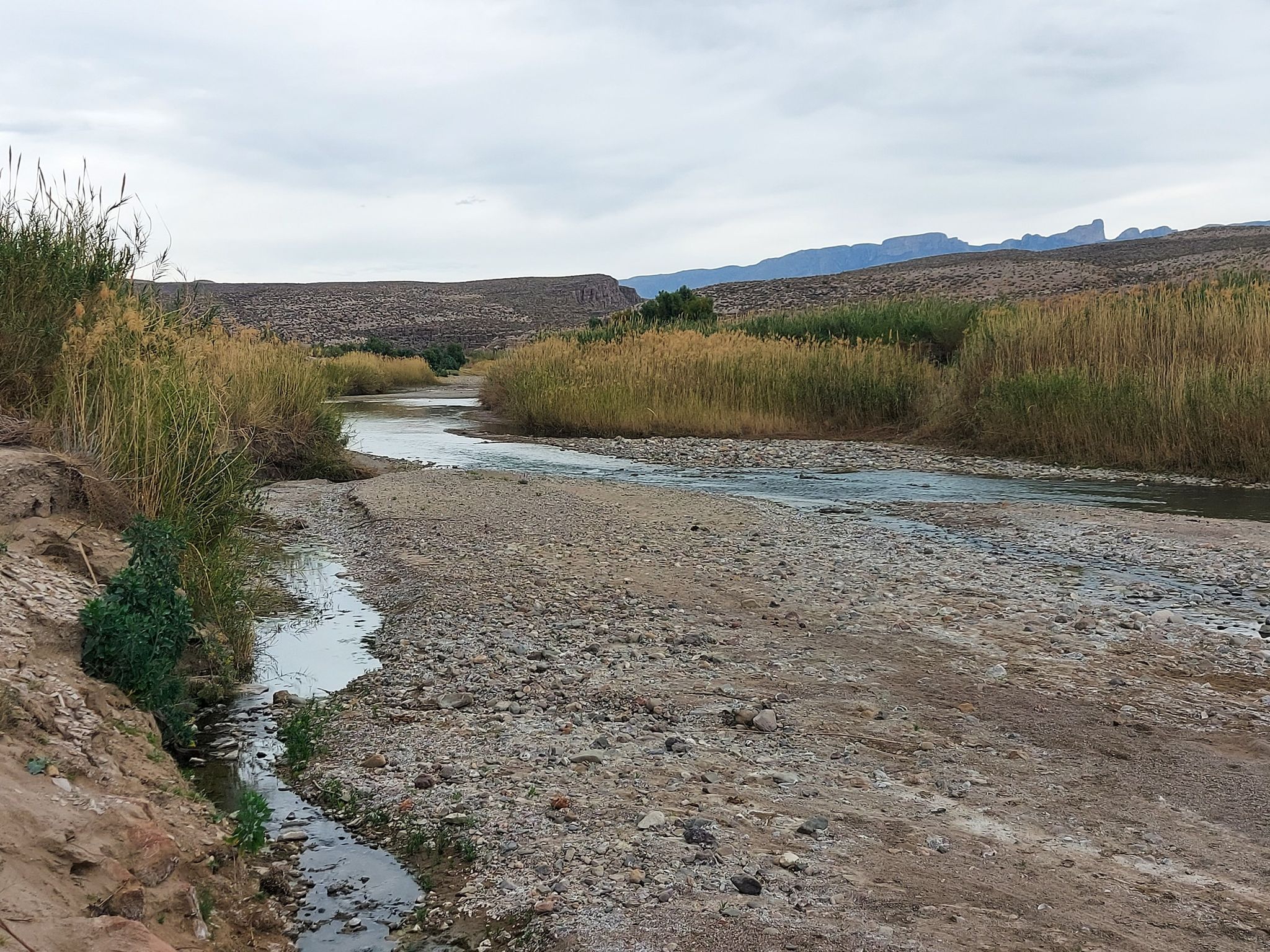 Shallow river flows past tall golden reeds and rocky banks under an overcast sky. - Old Bathhouse Stone Crossing – Big Bend Hot Springs loop from Hot Springs
