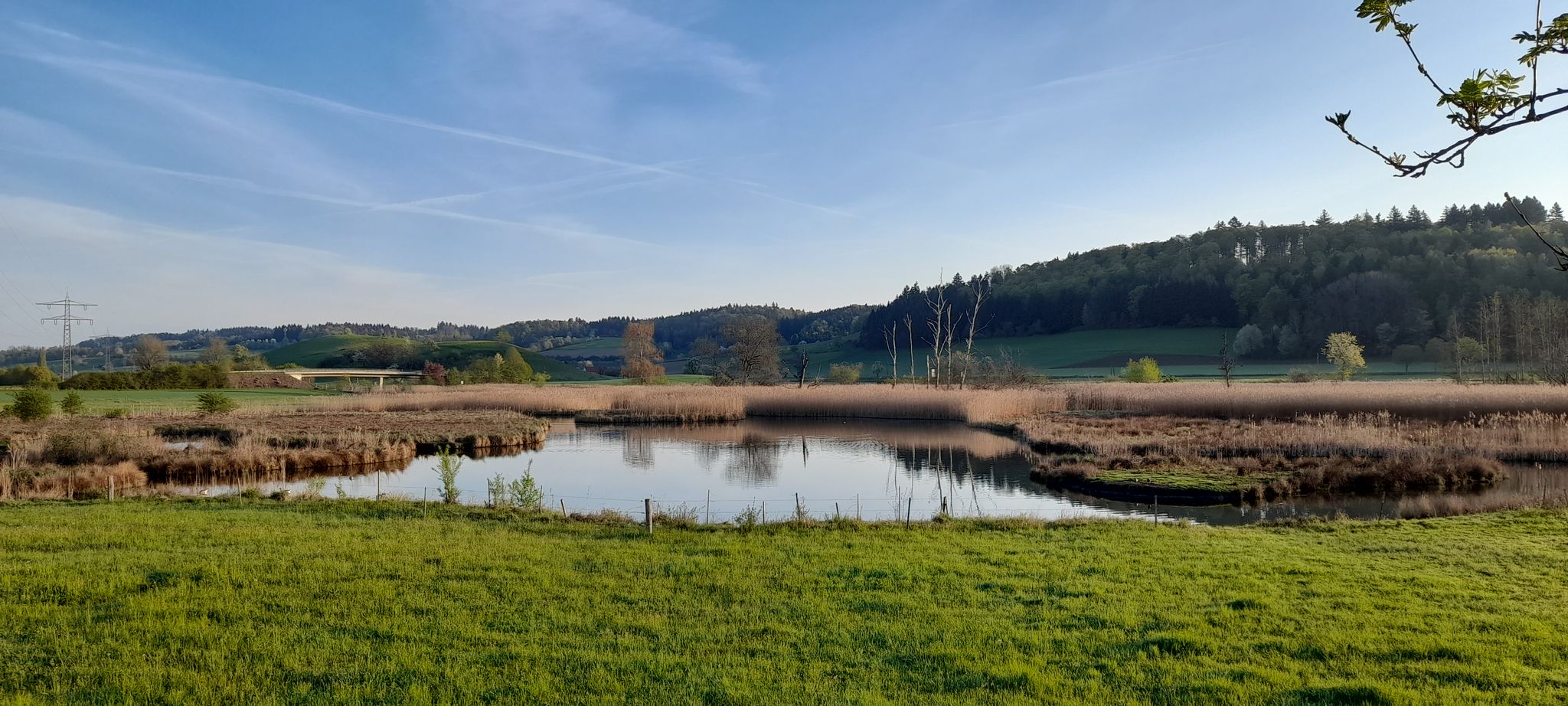 Blick auf den Nesselwanger Weiher (Sielmann)