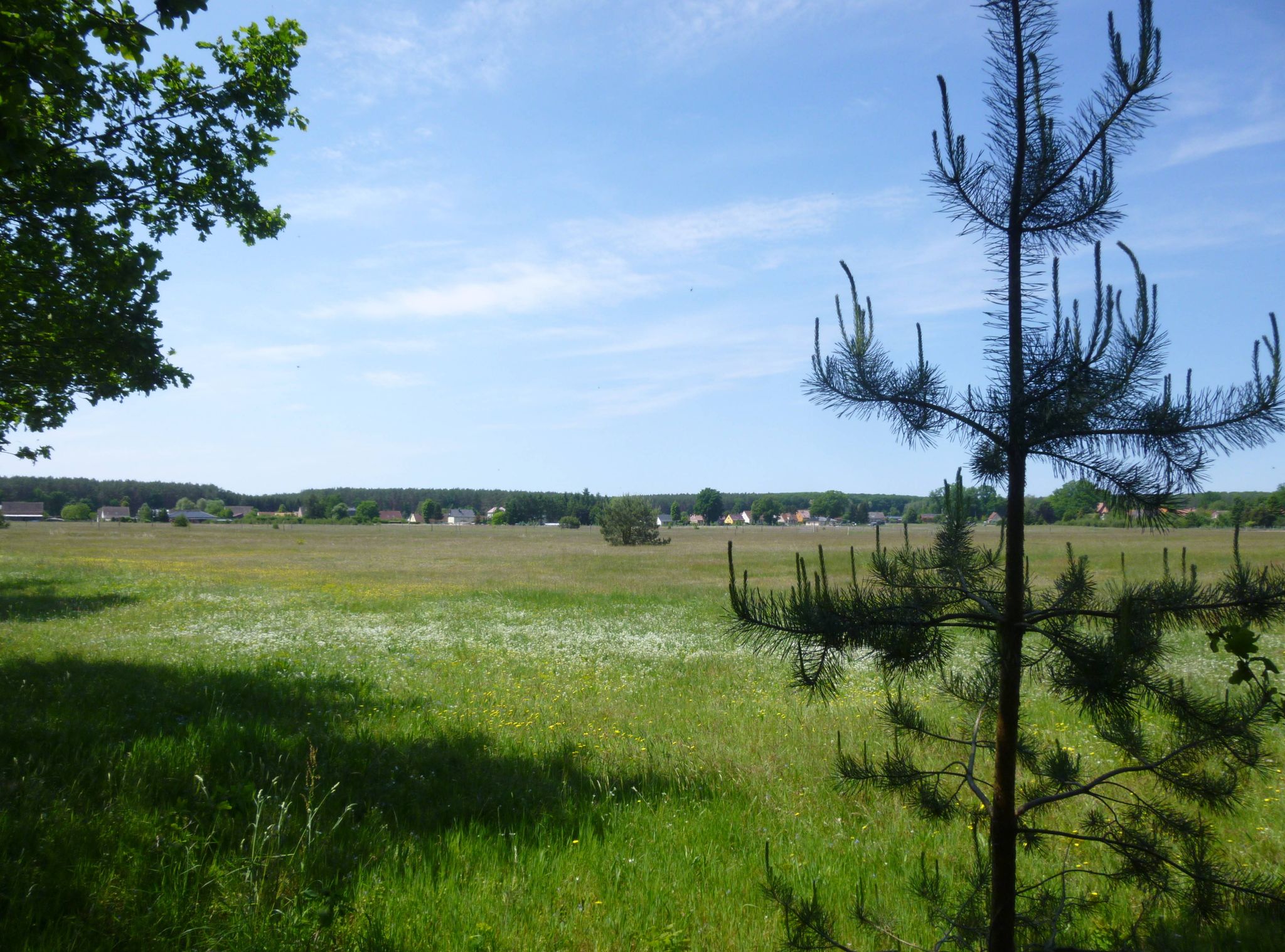 Bei Frankenfelde