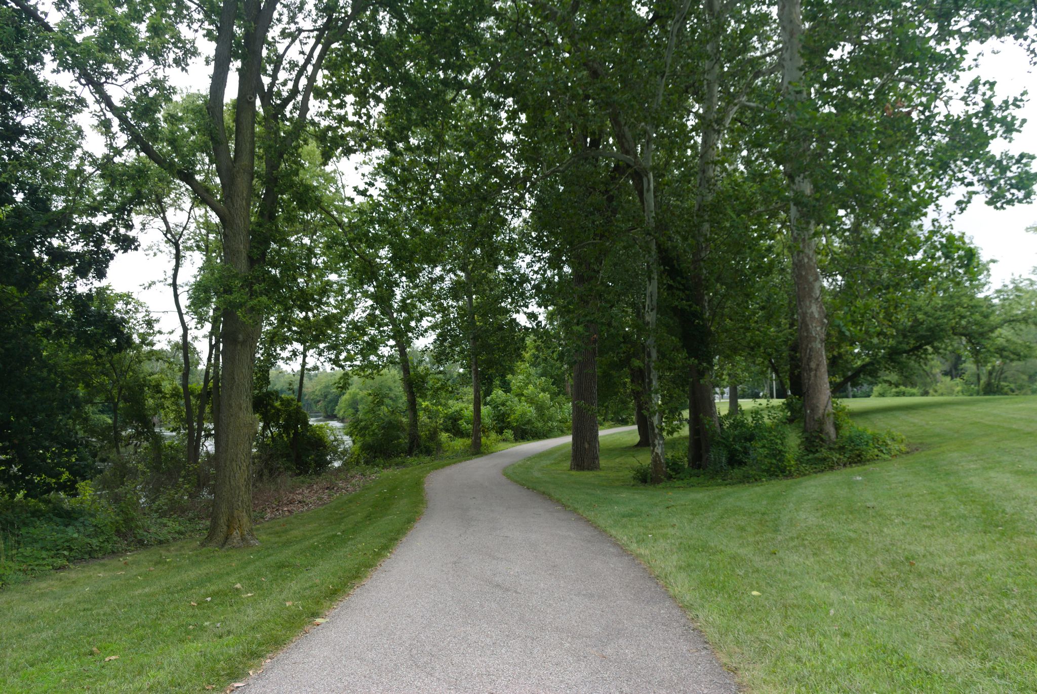 Winding paved path through a grassy park with tall, leafy trees. - Basilica of the Sacred Heart – East Race Waterway loop from University of Notre Dame du Lac