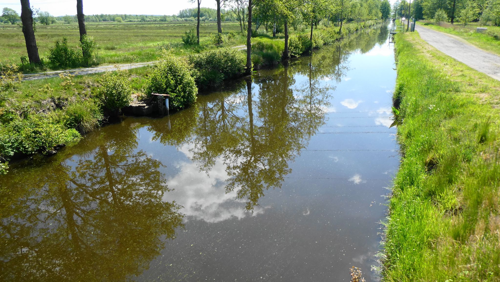 am Neuhaus-Bülkauer Kanal entlang - wunderschön!