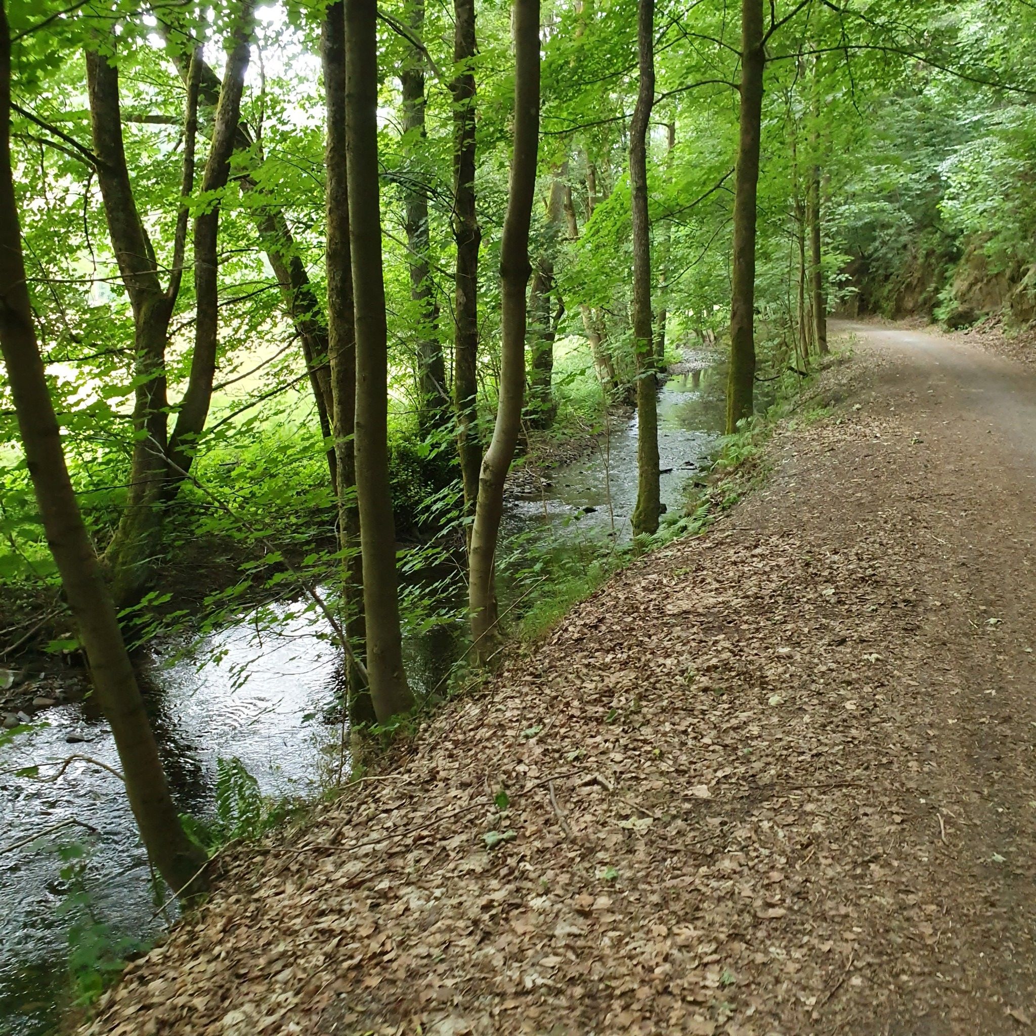 am Bach entlang