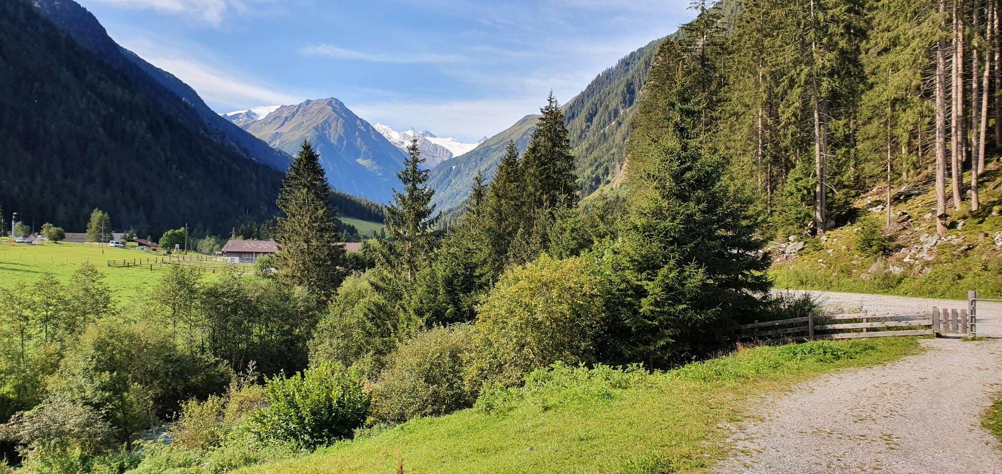 Gletscher Blick 