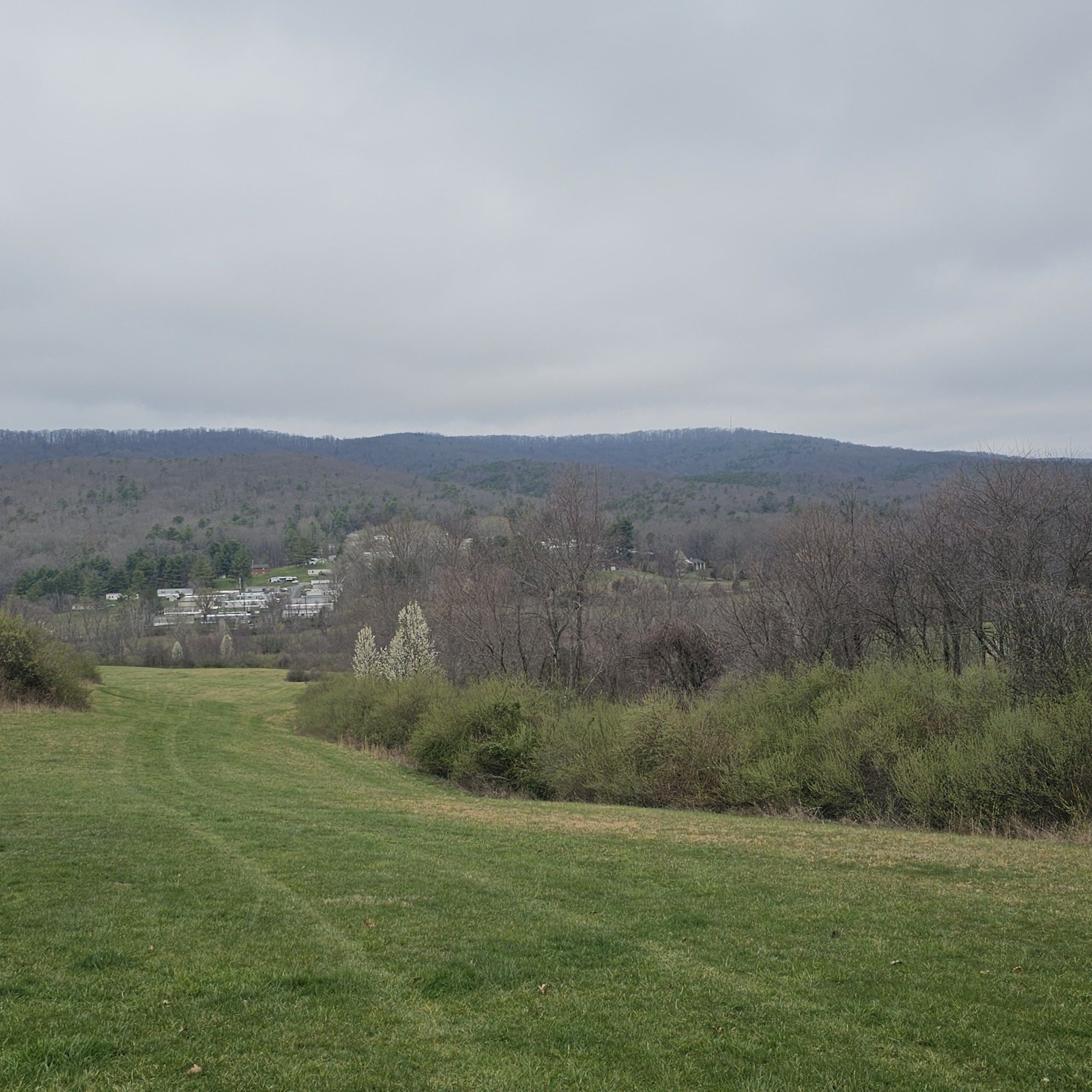Wide green field with distant trees and hills under a gray sky. - Old Farmhouse loop from Blacksburg