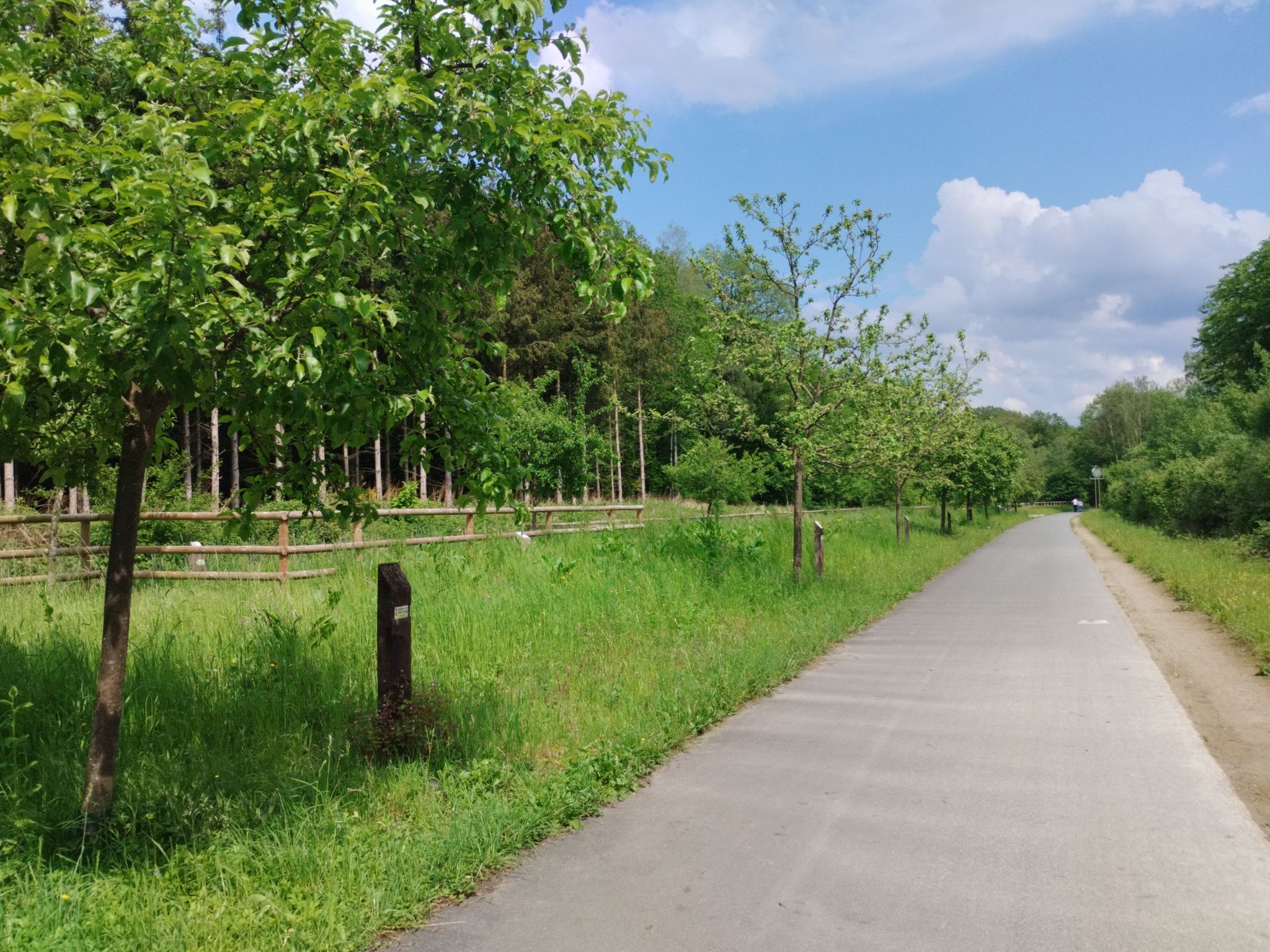 Bahntrassenradweg RAVeL L156