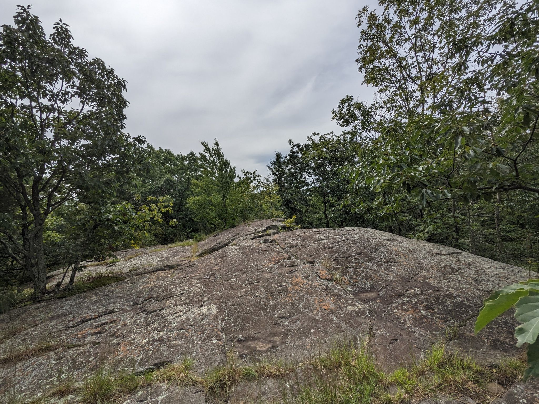 Wide, flat rock surface on a hilltop surrounded by green trees under a cloudy sky. - Killkenny Rocks – Hartford Reservoir Number 5 loop from Town of Farmington Property