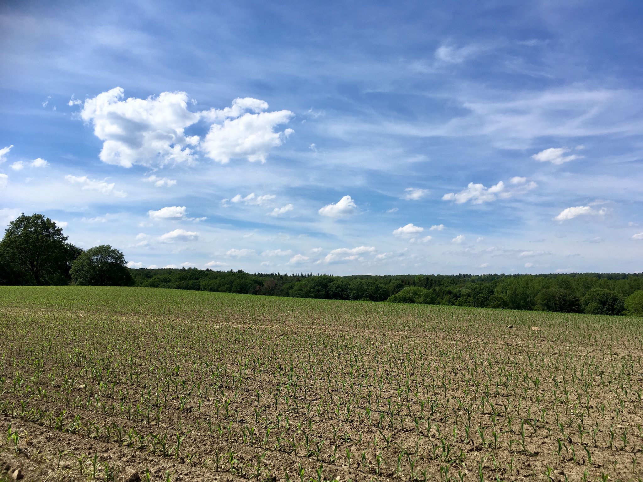 Blick von Hohensyburgstraße aufs Wannebachtal