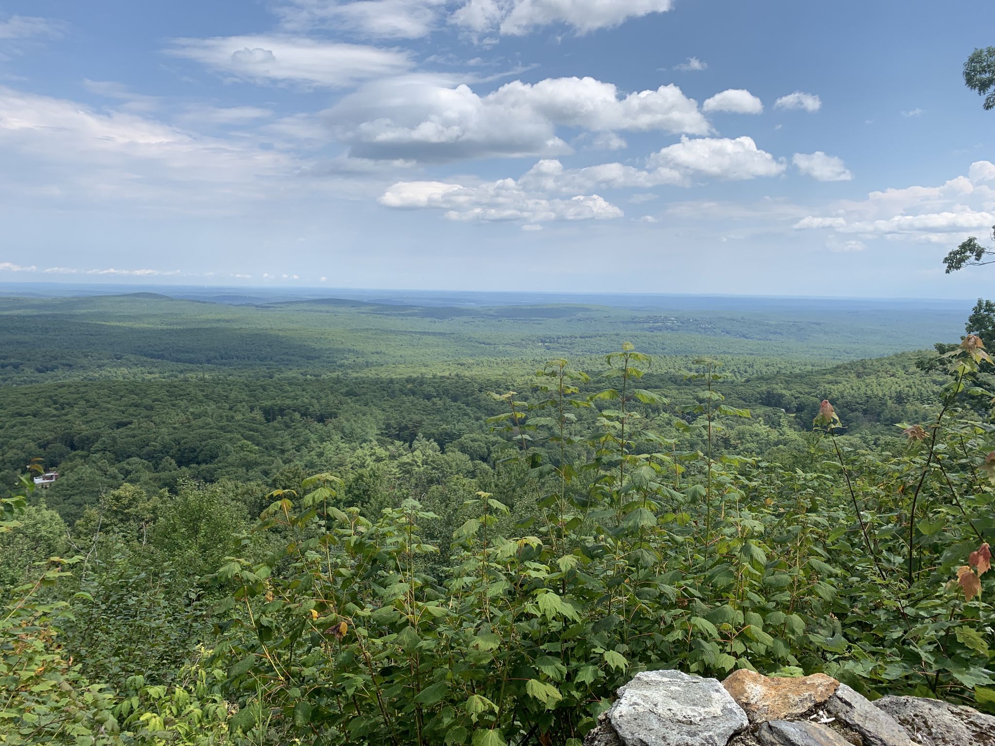 Panoramic view of a vast green forest under a partly cloudy sky. - Mount Wachusett Summit loop from Princeton