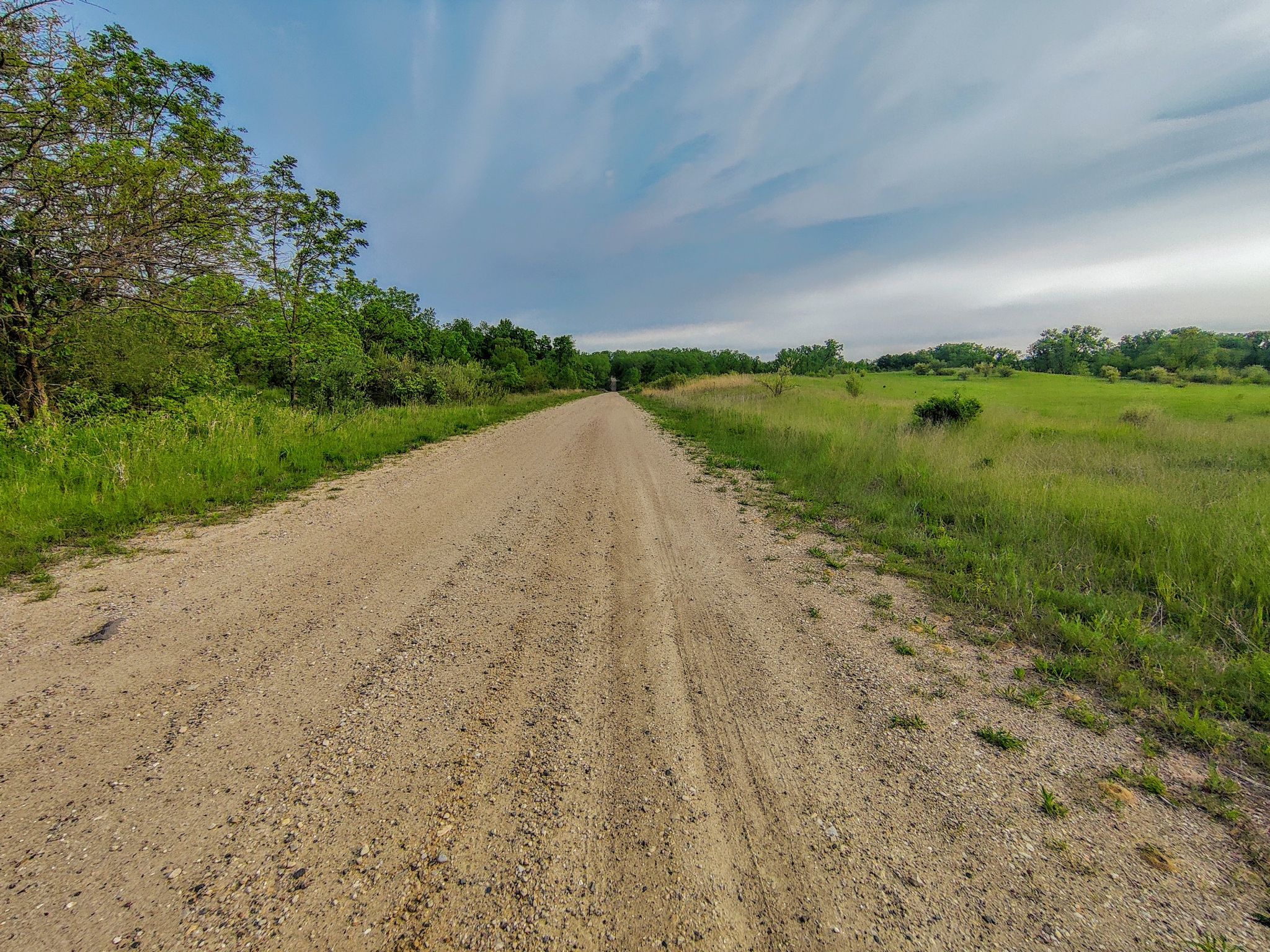 A long dirt road stretches through green fields under a cloudy sky. - Northern and Central Trails Loop