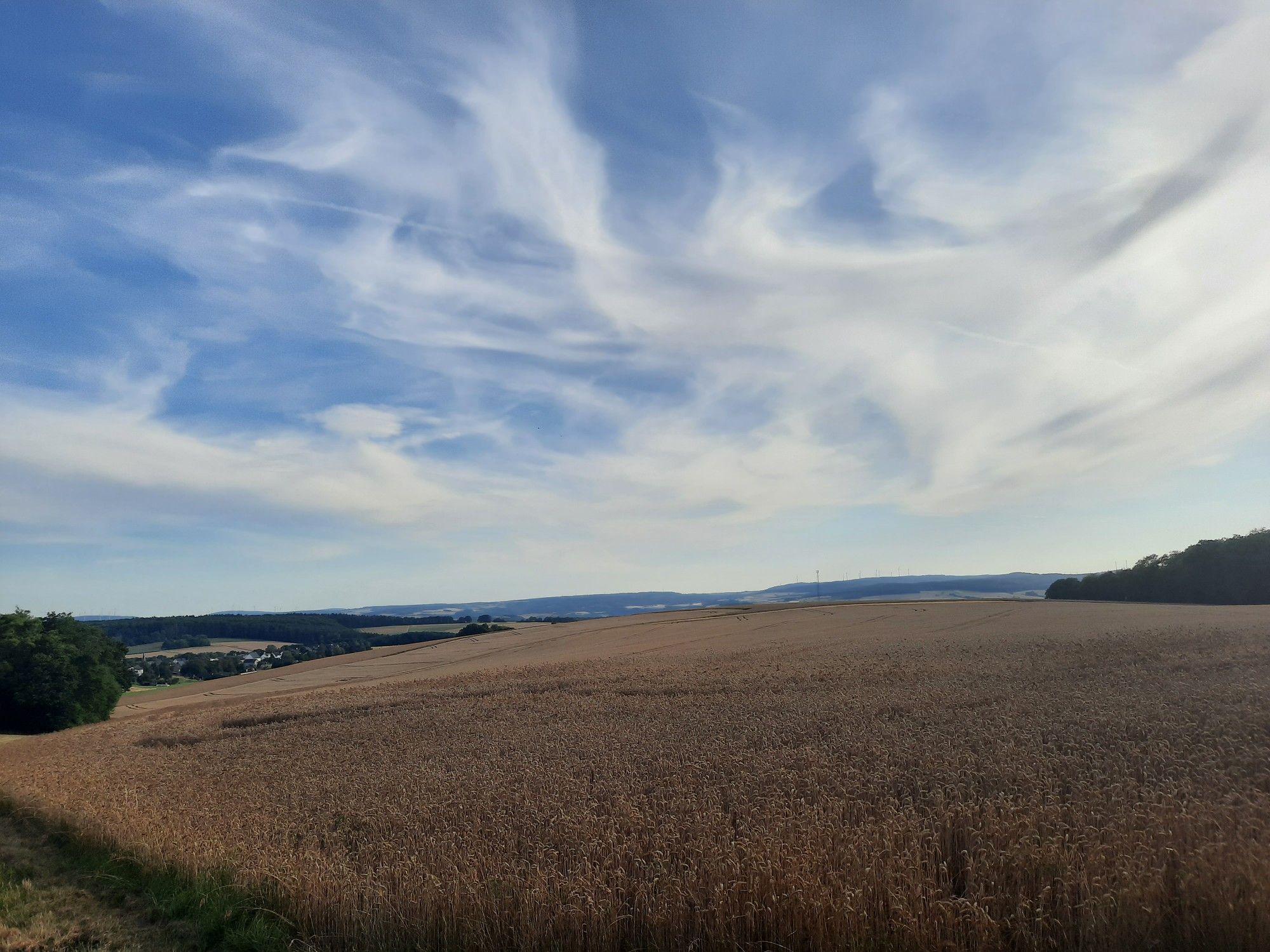 Reitzenhain