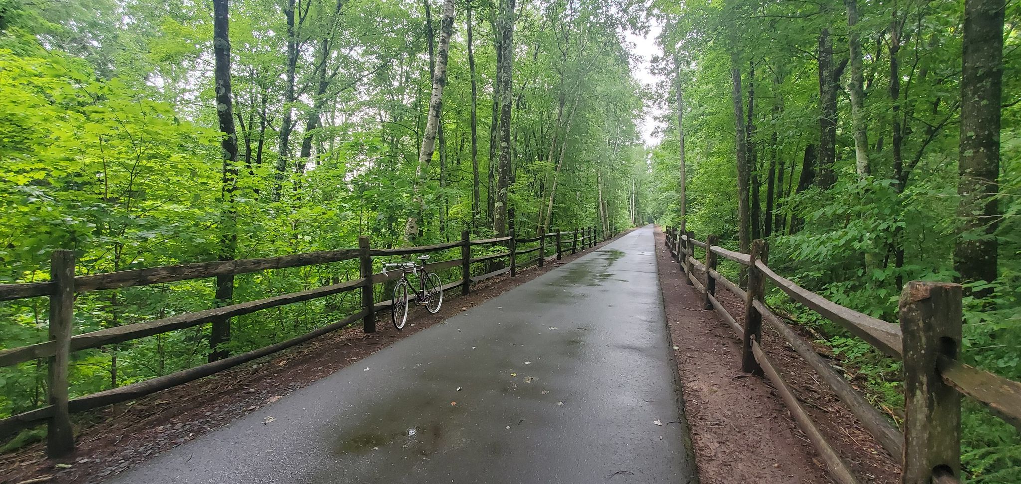 Wet paved path through a lush green forest with a bicycle leaning on a fence. - Tobacco barns – Congamond Coffee loop from New Town Beach