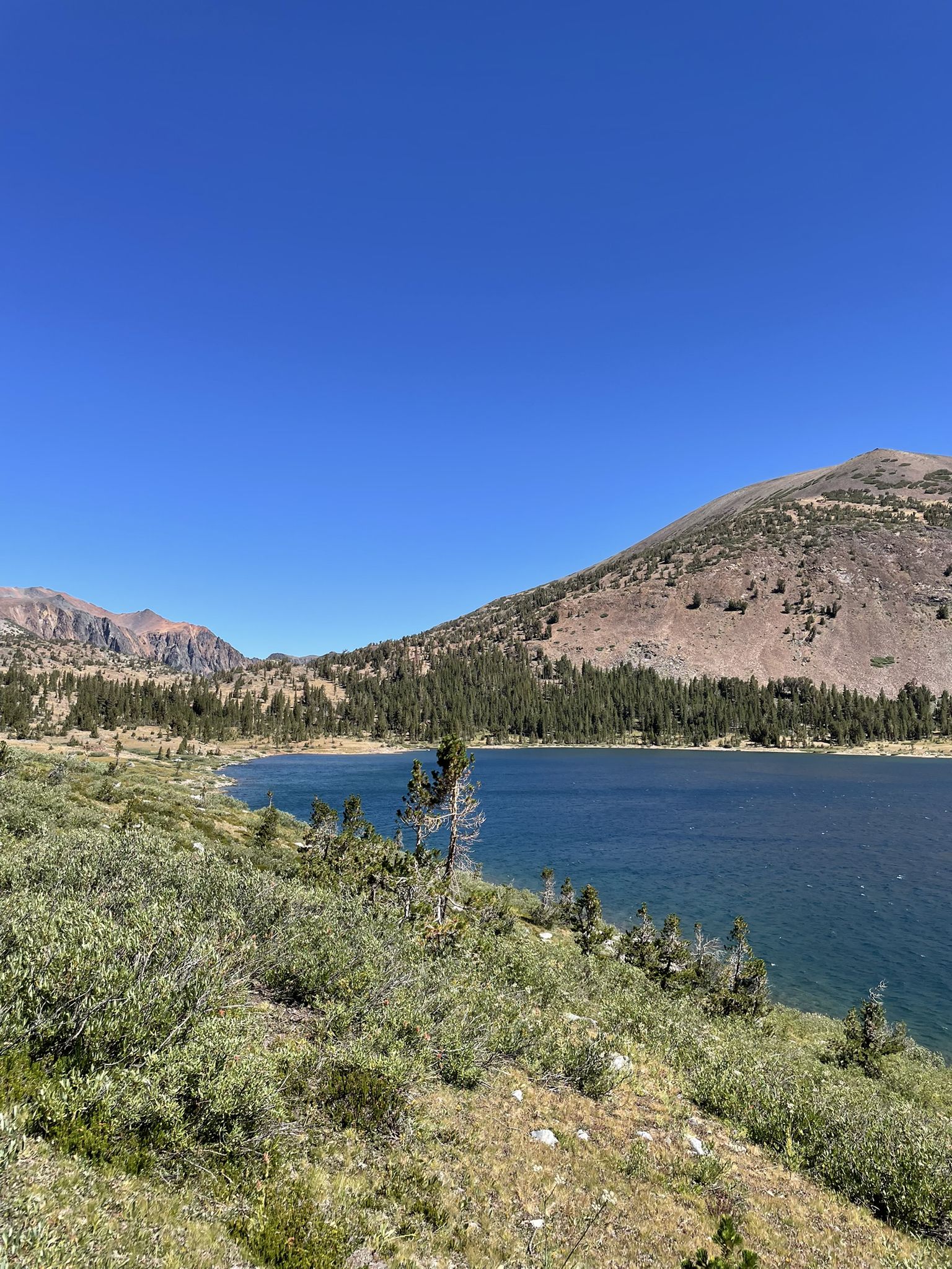 Wide lake with green foreground, forested hills, and distant mountains under clear sky. - Saddlebag Lake to Conness Lakes Trail