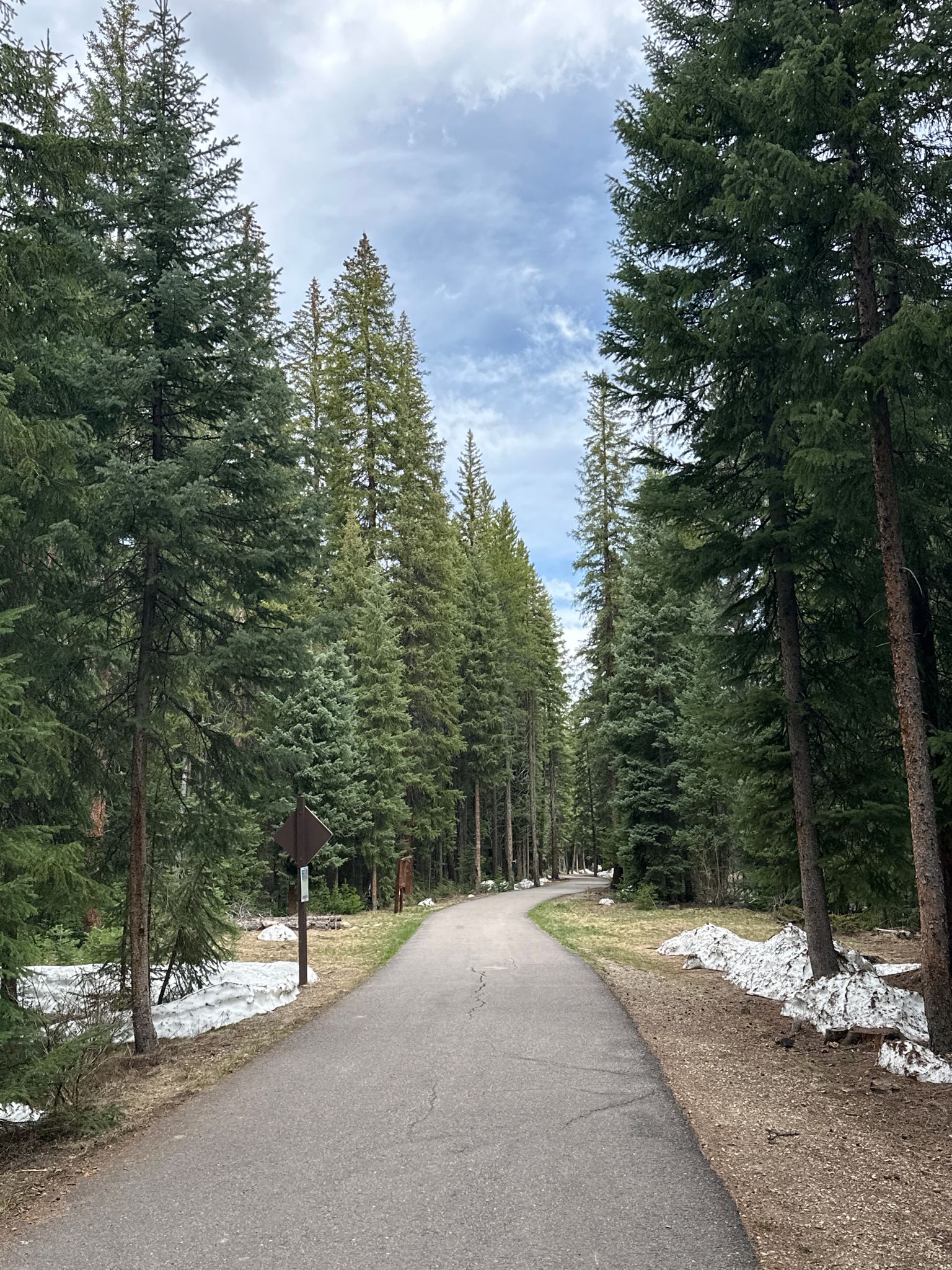 Paved path winding through a tall evergreen forest with patches of snow. - Fraser River Trail loop from Winter Park