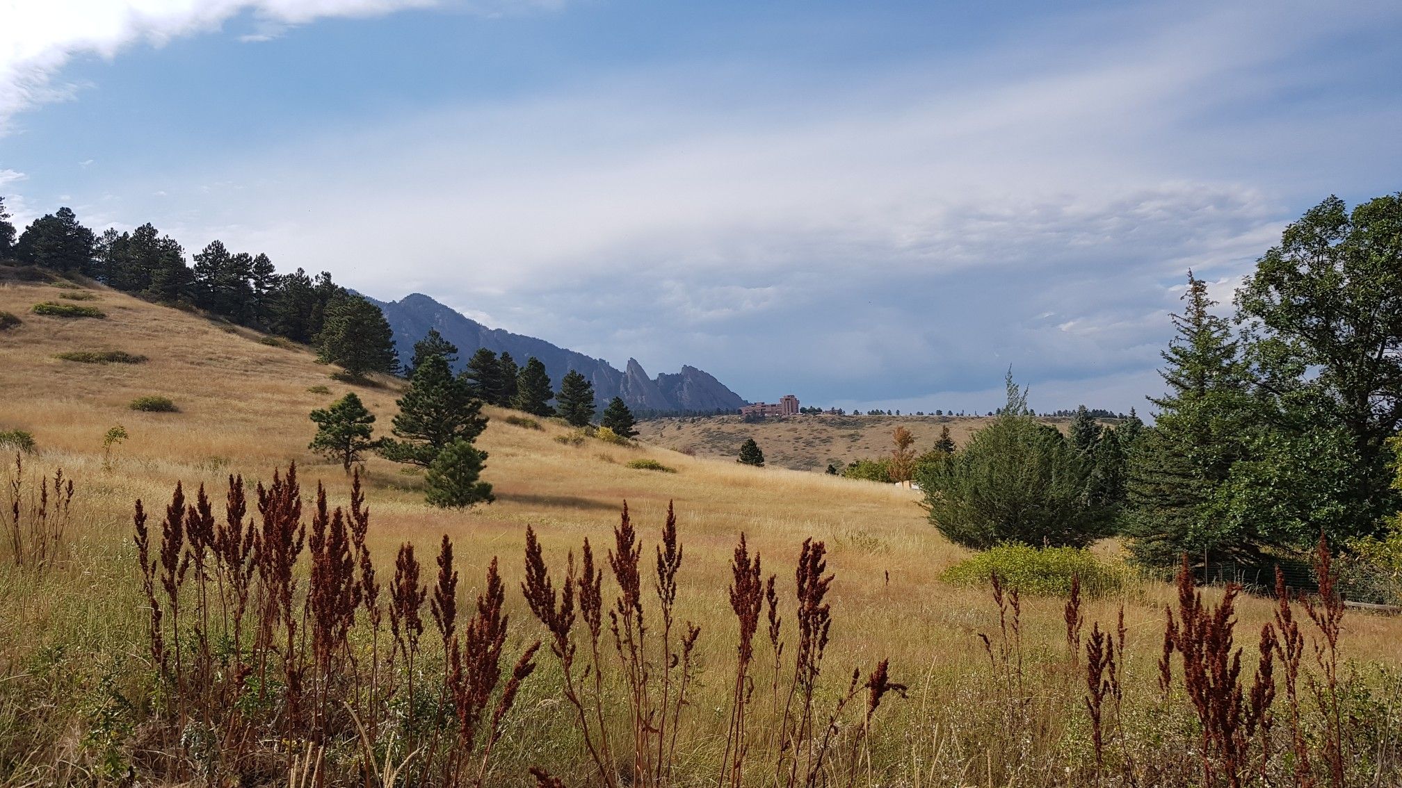 Grassy hillside with scattered pines, distant rocky peaks under a cloudy sky. - Shanahan North Fork Trail to Mesa Trail Loop