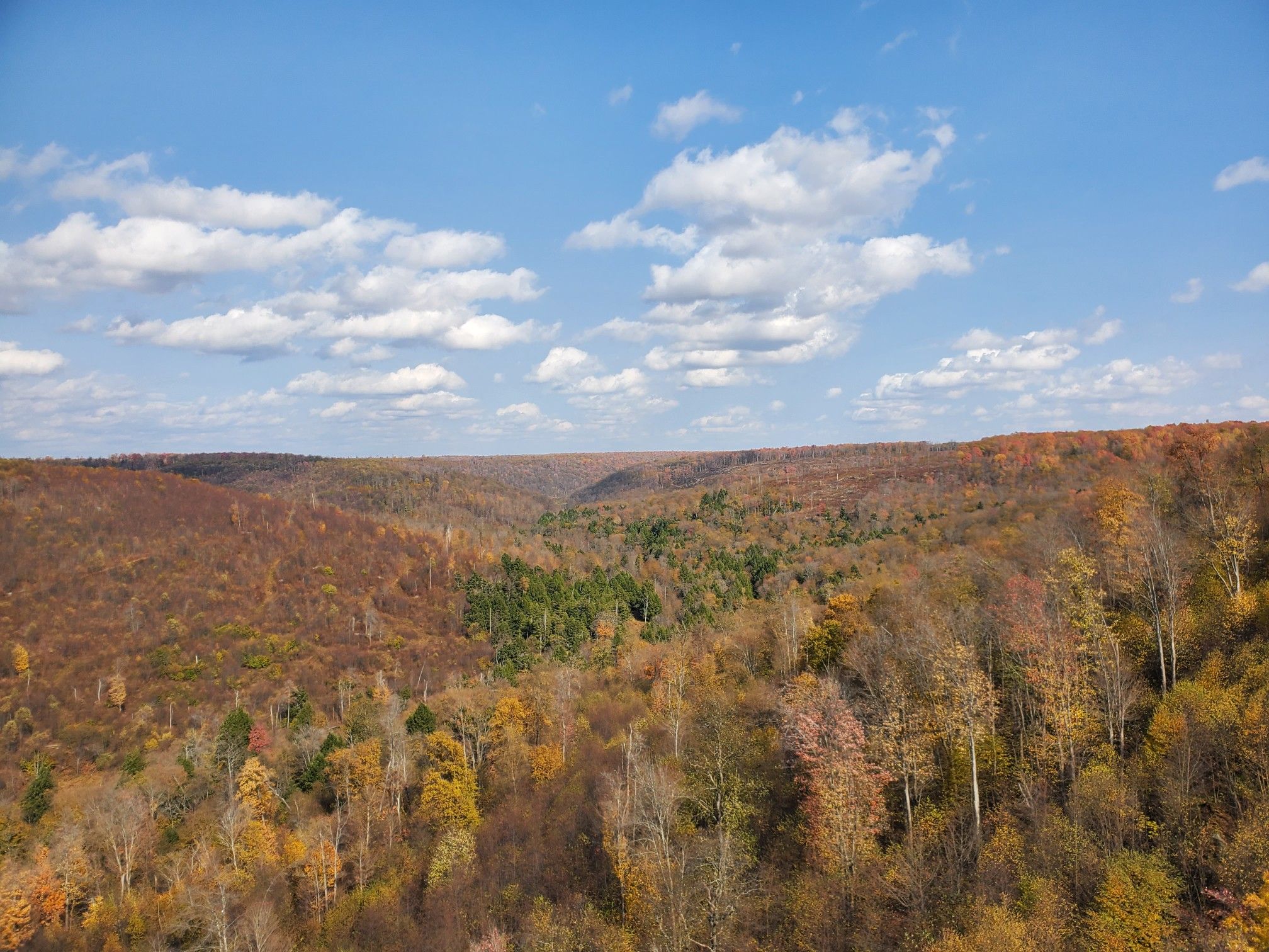 Panoramic view of rolling hills covered in autumn trees under a bright, cloudy sky. - Kinzua Creek Trail