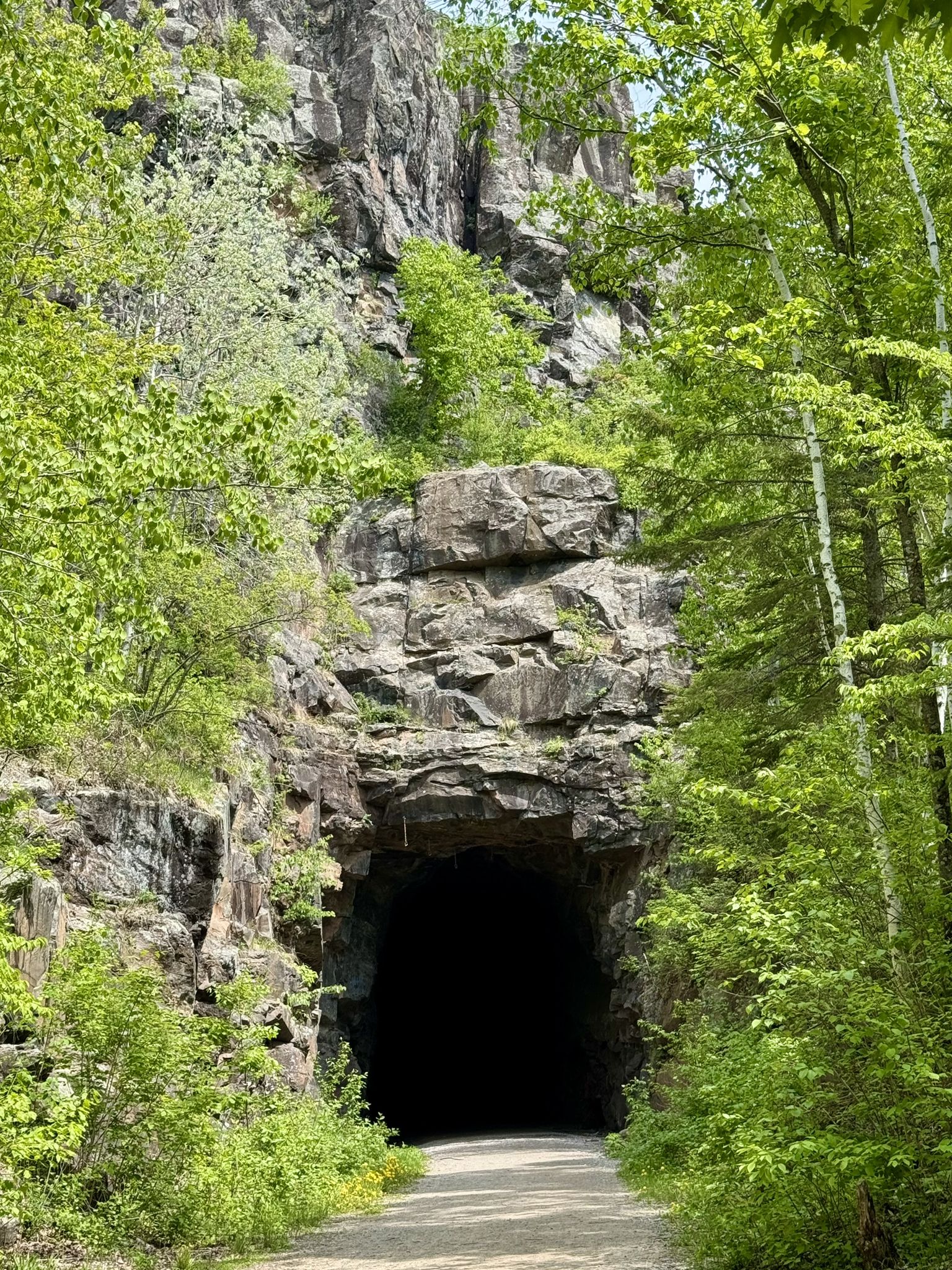 A dark tunnel entrance in a rocky cliff, surrounded by lush green foliage. - Ely's Peak Loop Trail