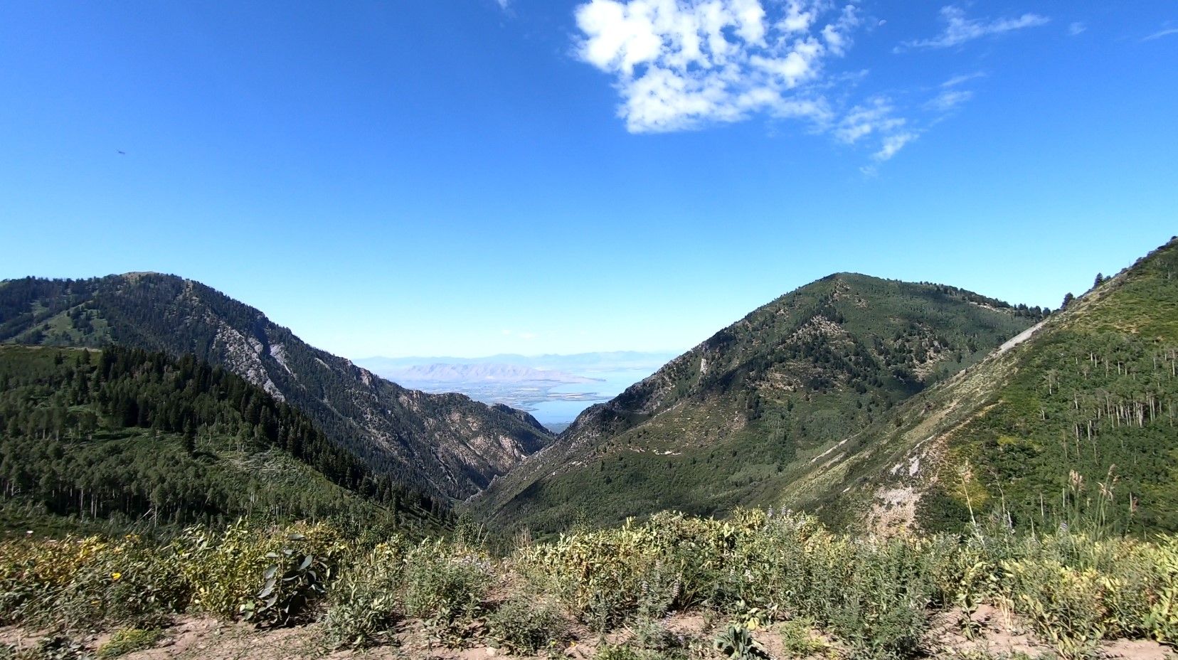 Deep mountain valley with forested slopes, distant lake, under bright blue sky. - Kyhv Peak Road