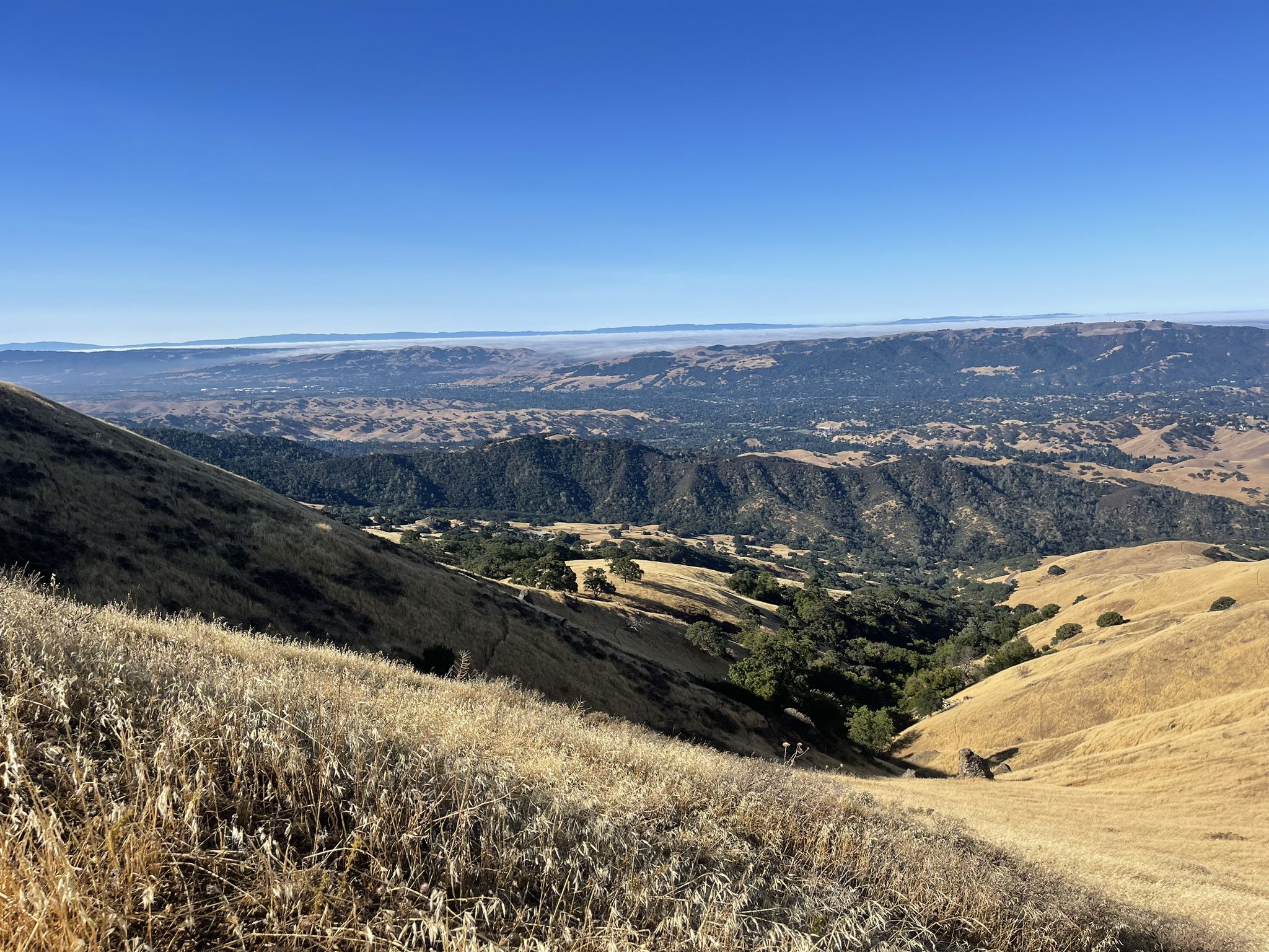 Golden dry grass on a hillside overlooking a vast, hazy mountain landscape. - Iron Horse Trail bridge – Mount Diablo Summit loop from Walnut Creek