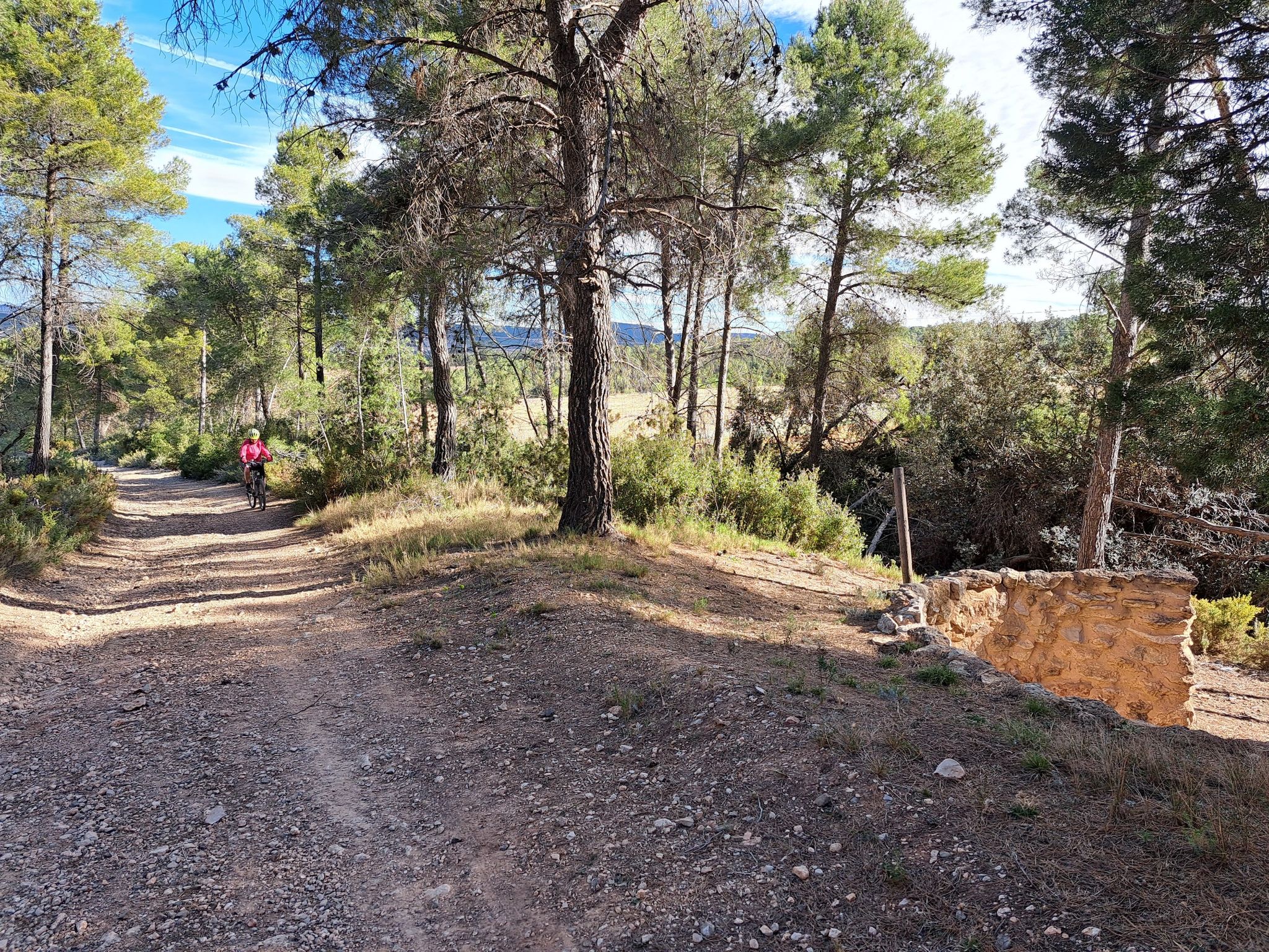 forn de calç
