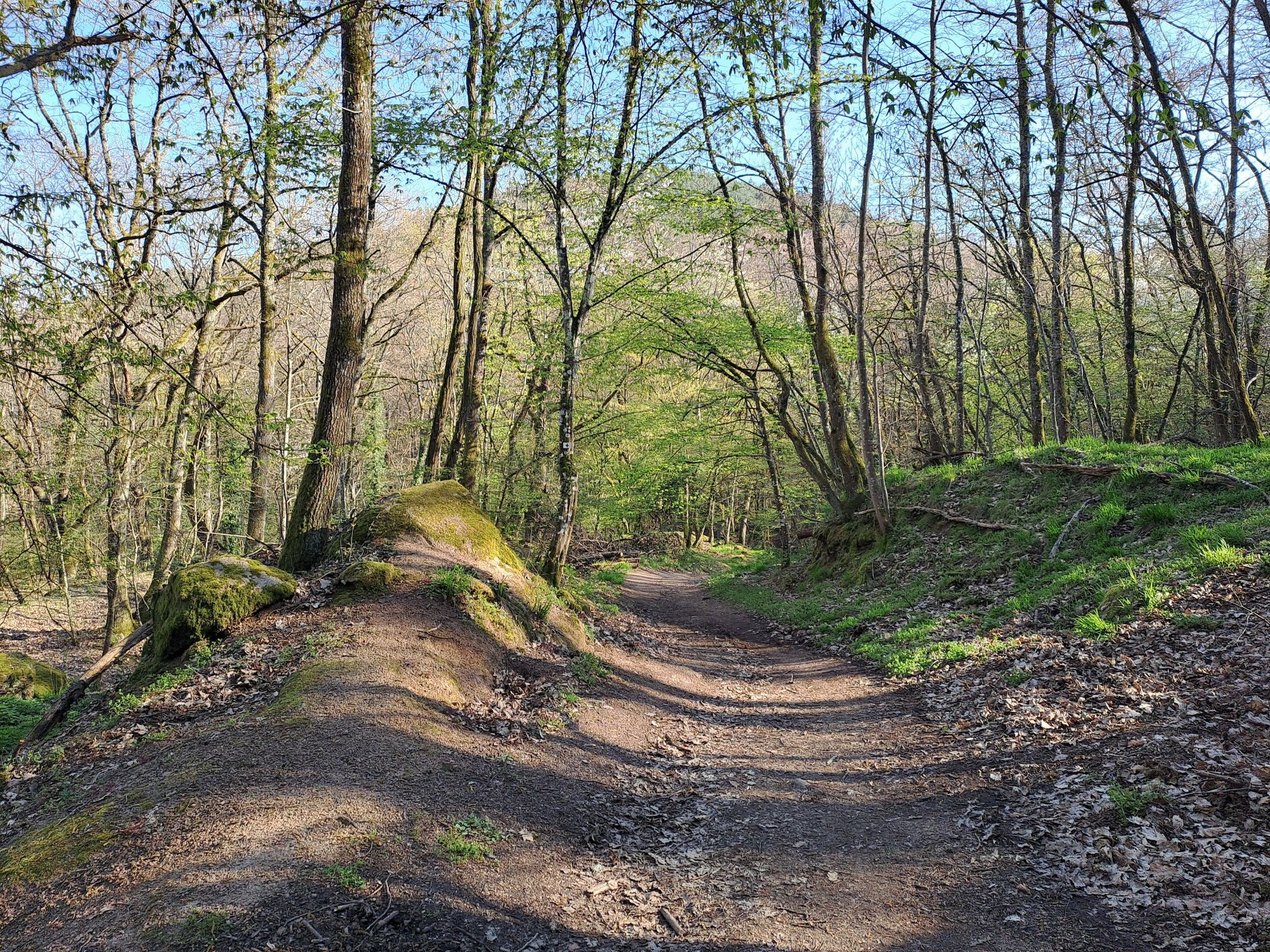 Grüner Weg
