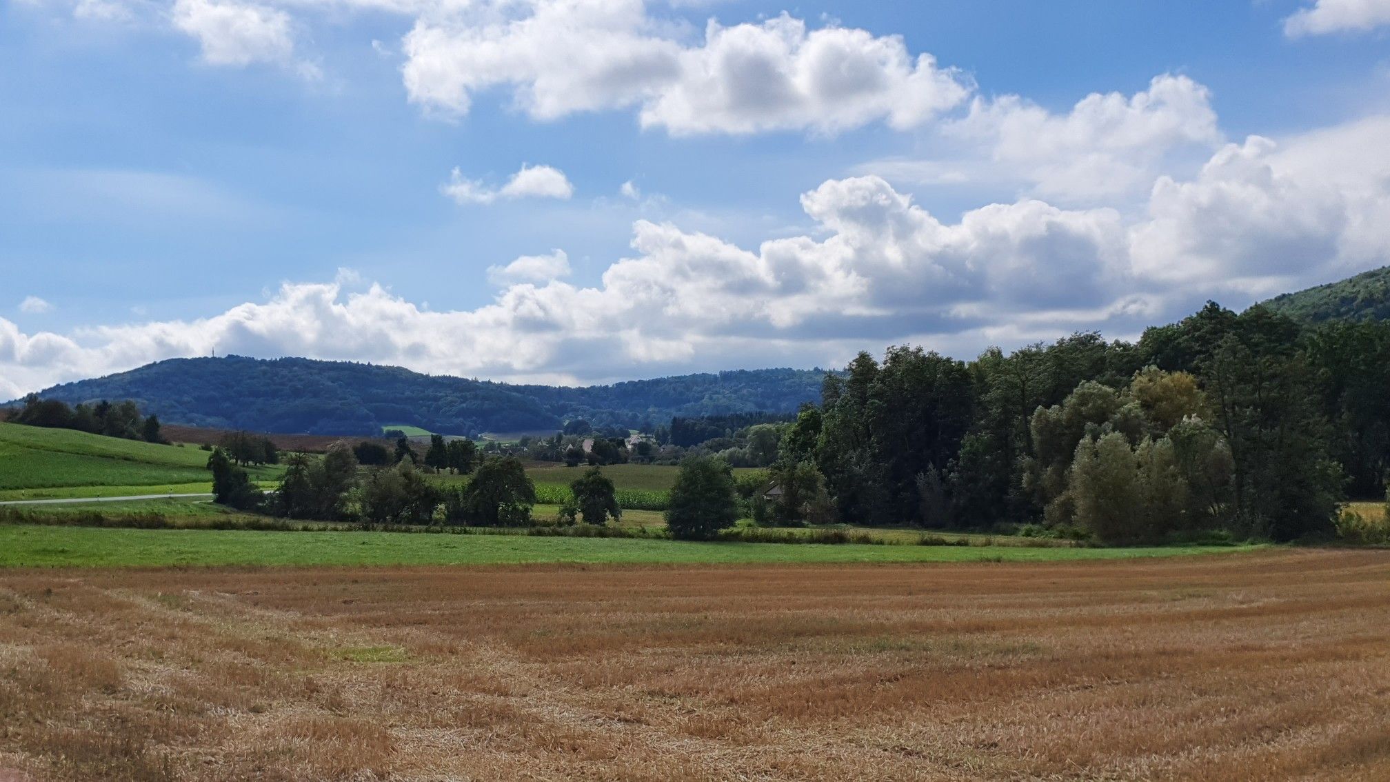 Im Hammerbachtal