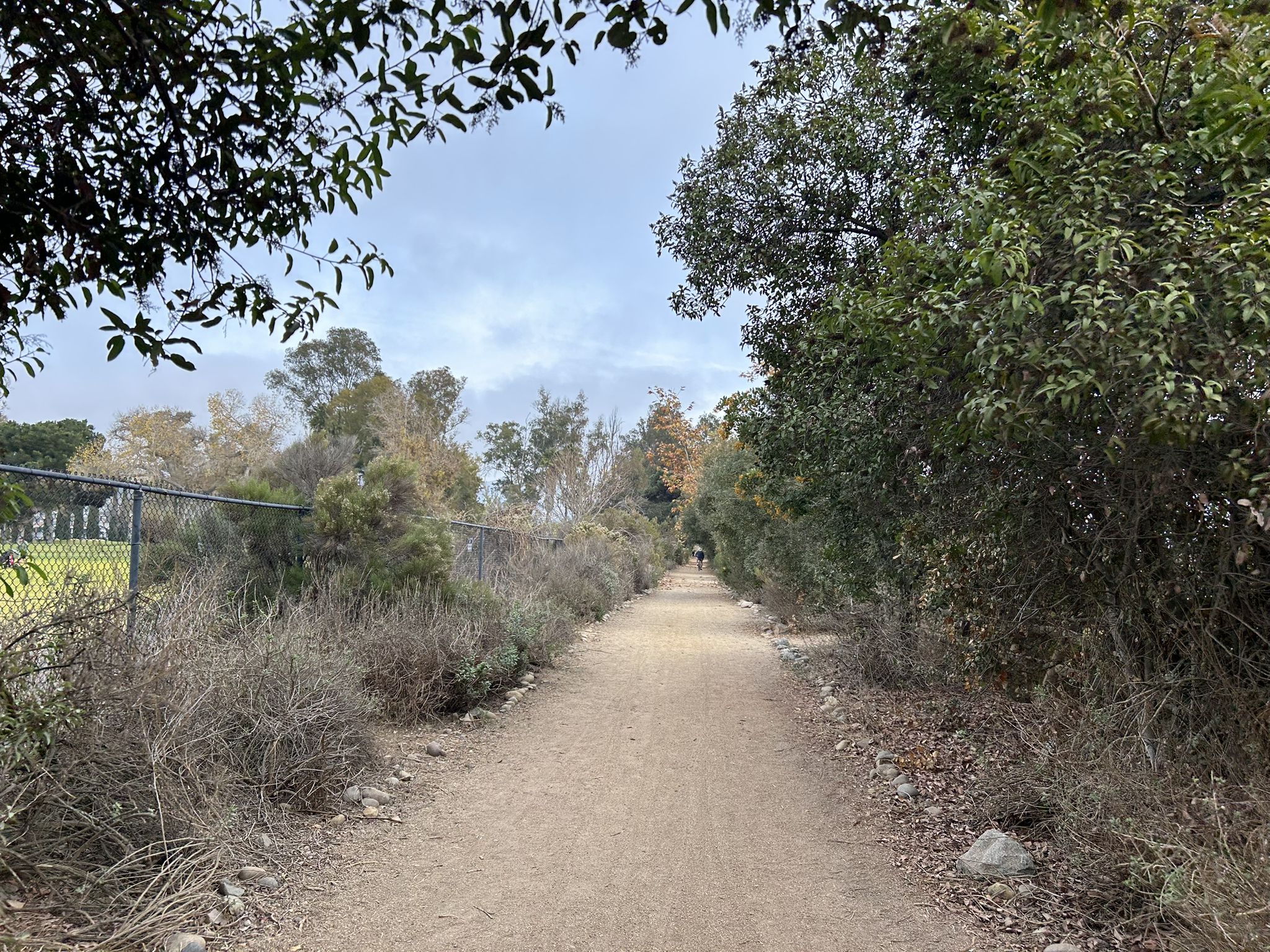 Dirt path through dense green and brown bushes under an overcast sky, person walking. - San Diego River Trail